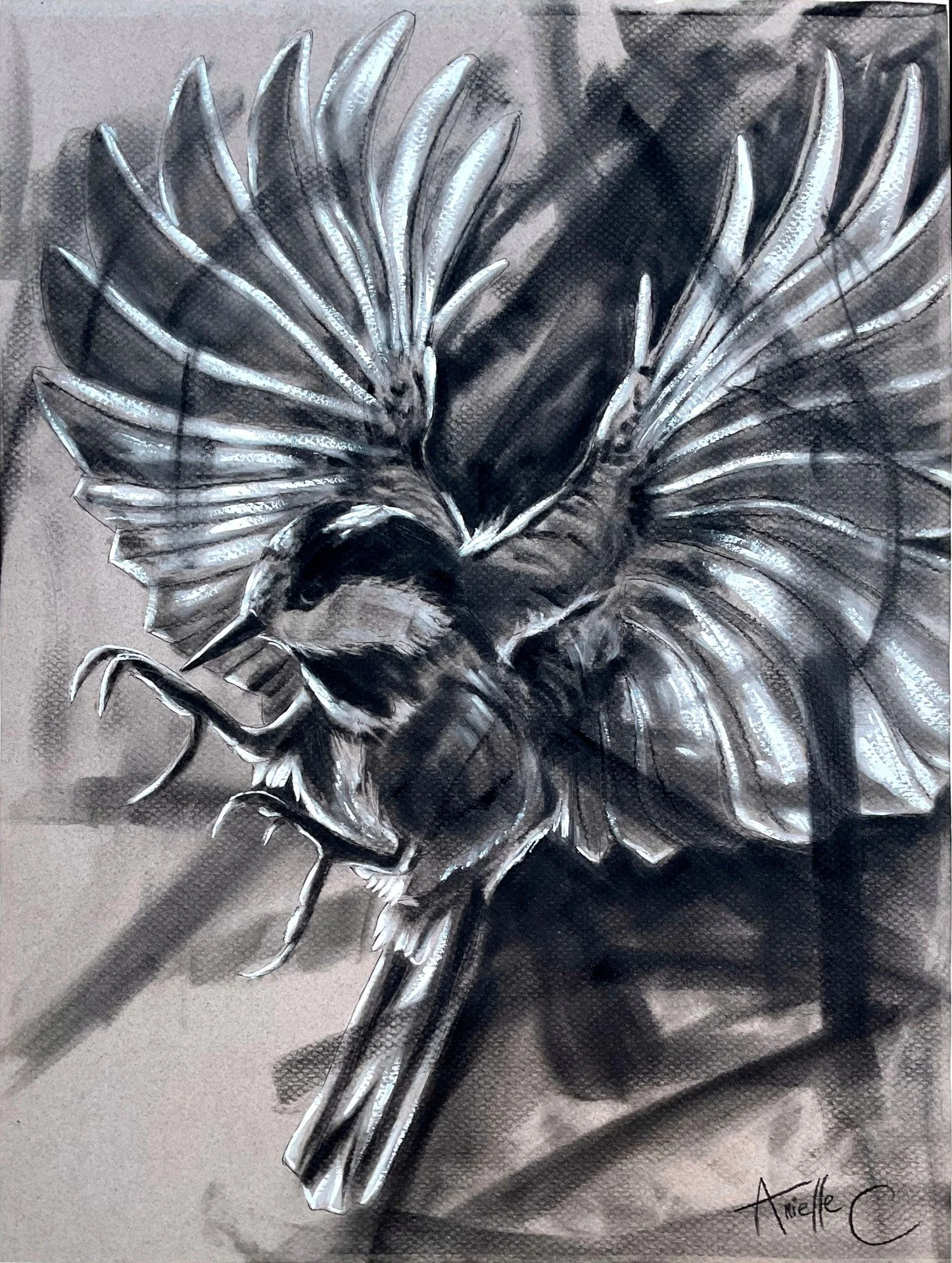 A monochrome drawing of a bird with detailed wings and body, set against a textured background.