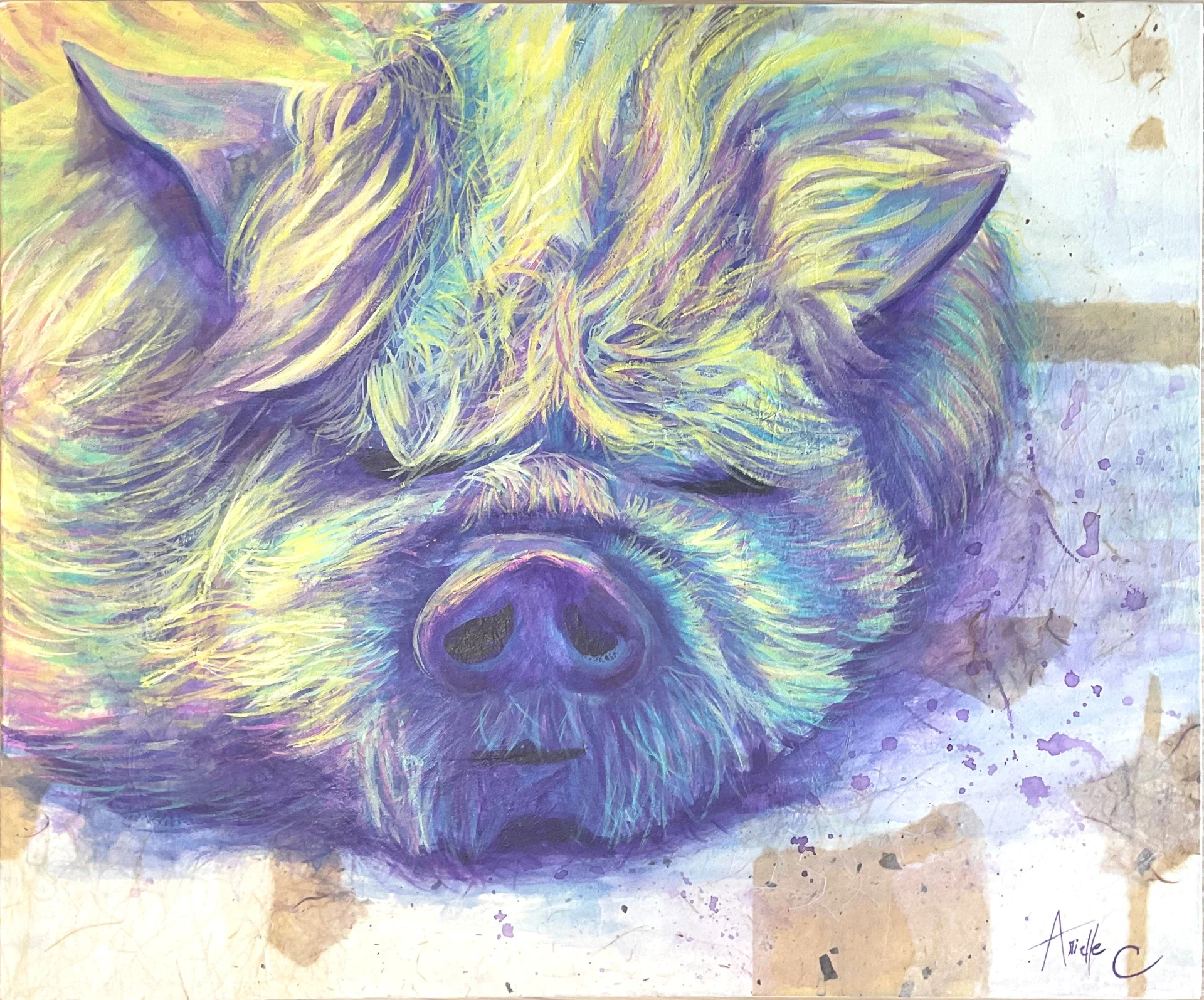 Acrylic painting of a furry pig