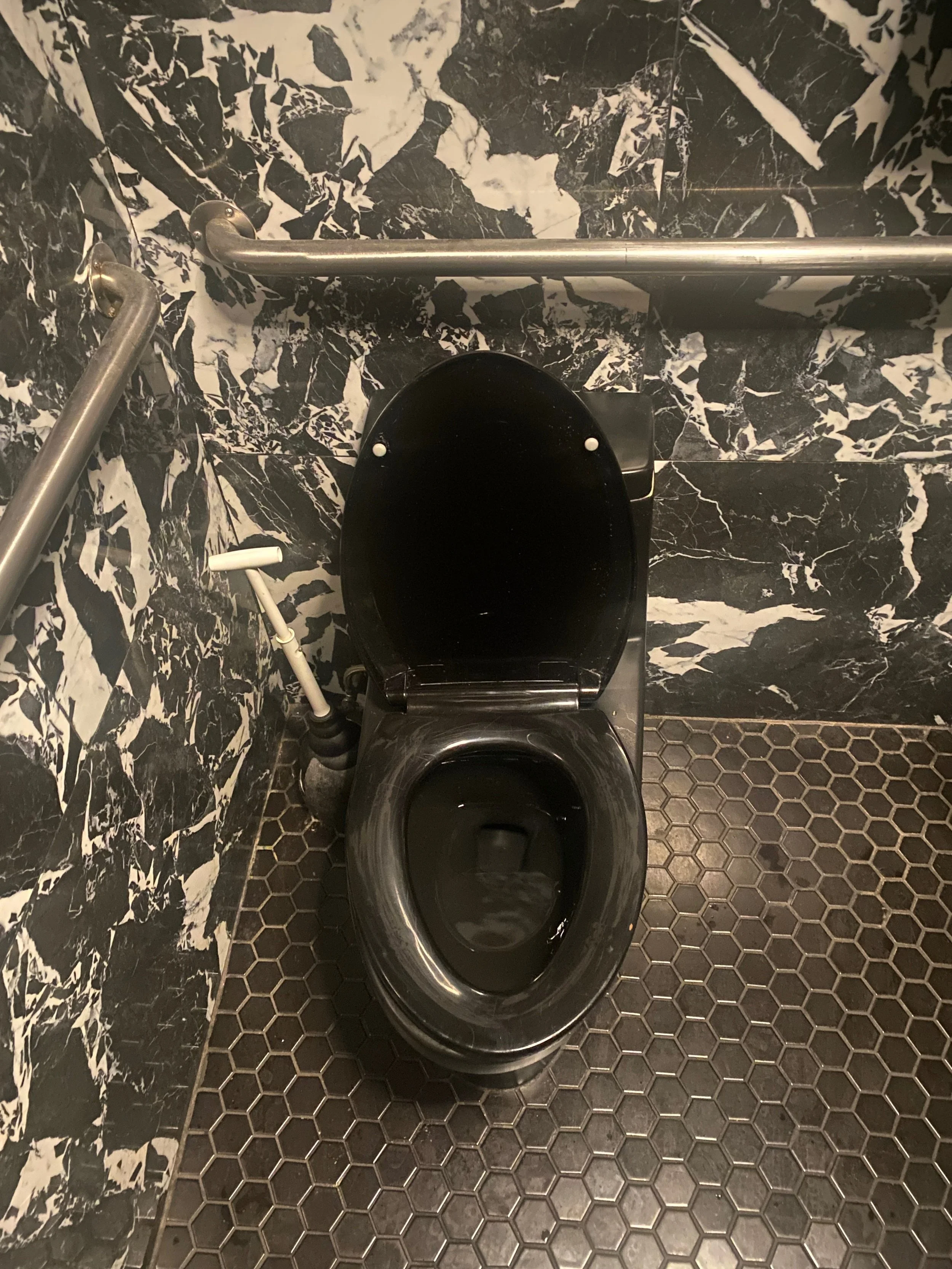 black swan? black toilet.