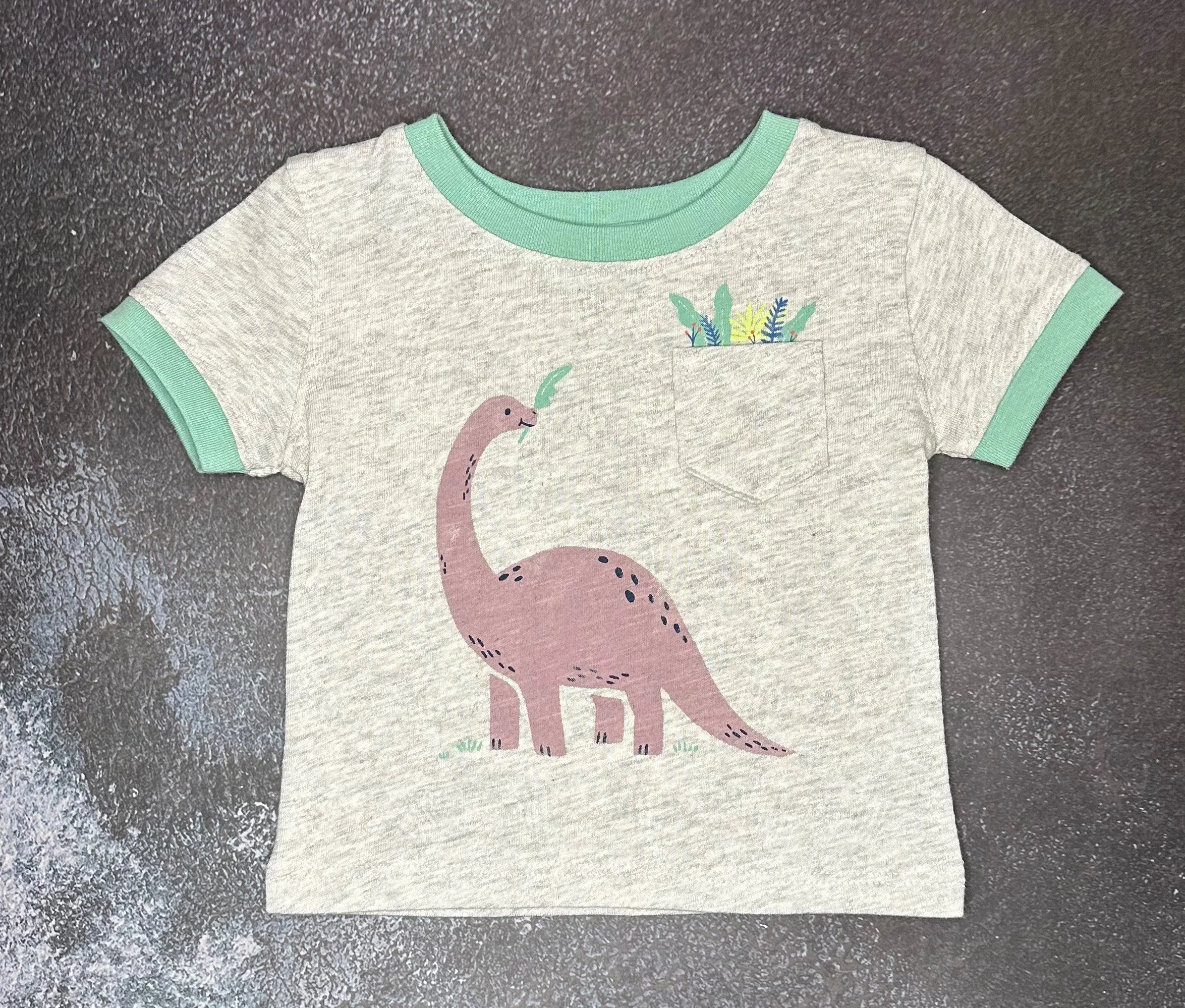Baby Dinosaur Graphic Tee (3 mos)