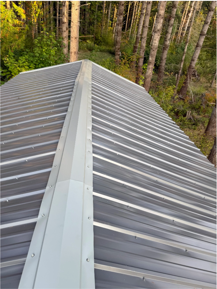 A metal roof on a building surrounded by trees and forest.