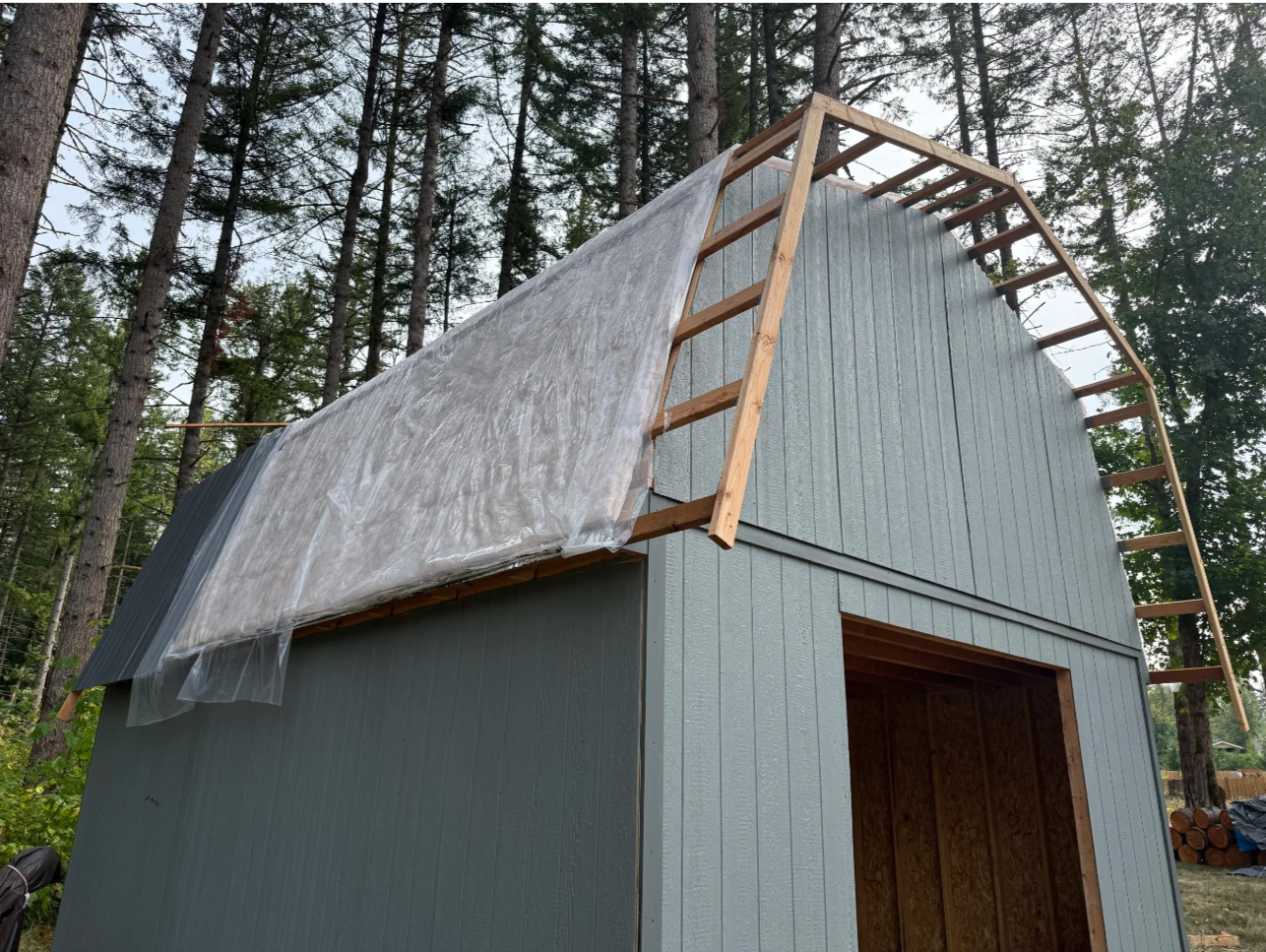A small wooden shed under construction in a forest, with siding partially installed and a plastic sheet covering the roof.
