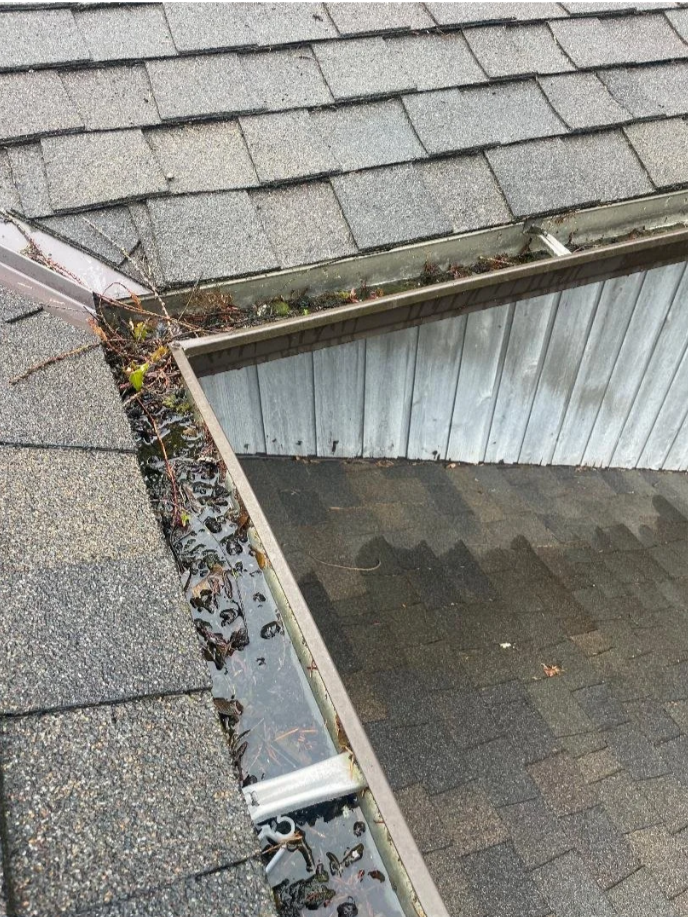 View of a roof gutter filled with stagnant water and debris, with roofing shingles visible above and a fence below.