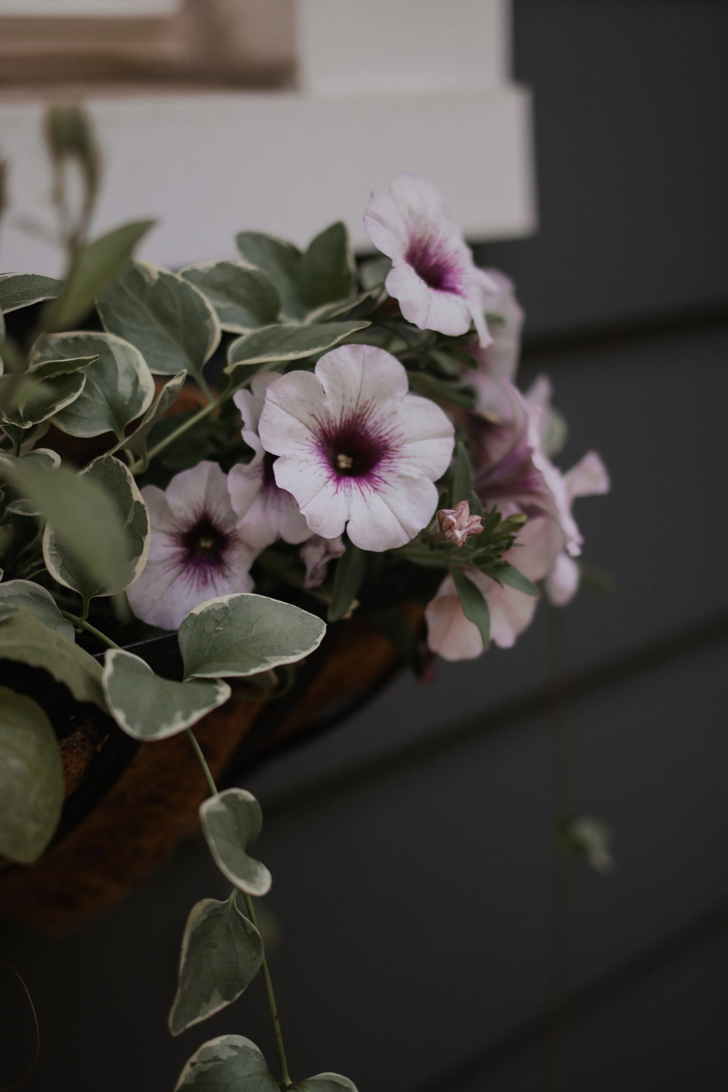 From the Garden:                           Where Every Design Begins