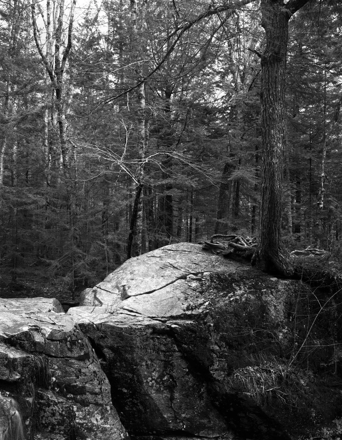 landscape 20.jpg