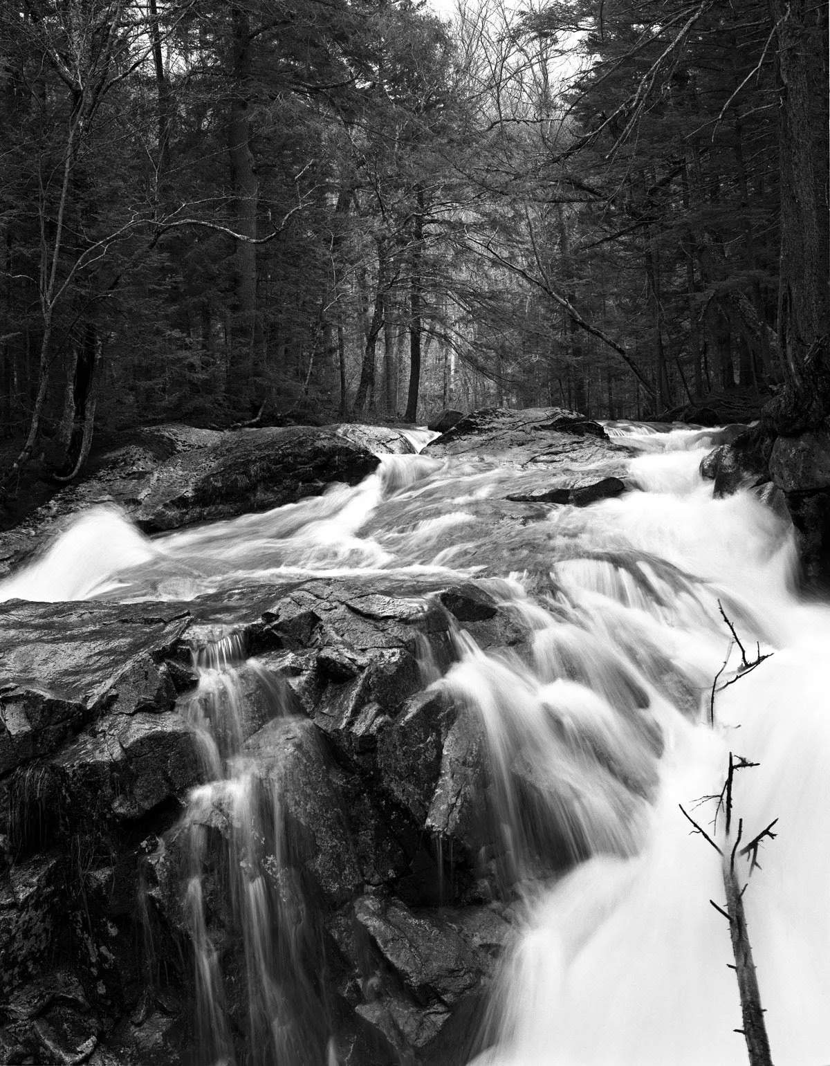 landscape 21.2.jpg