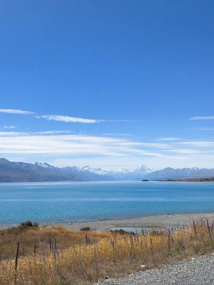 Summer in the South Island feels like pure freedom. Sun on your skin, bright lakes that almost do not look real, fresh fruit straight from the orchard and lavender drifting through warm air. 

It is the kind of season where simple moments turn into t
