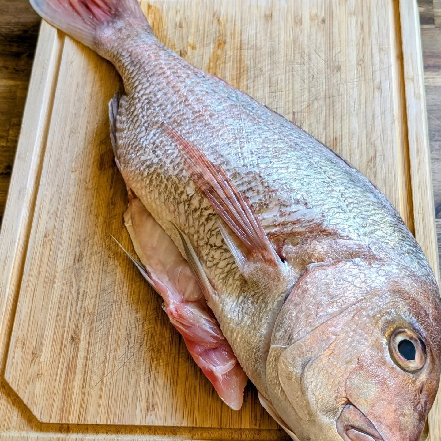 🐟 Wild-Caught Red Snapper. Thoughtfully Prepared. Beautifully Delivered.

A 2.2kg wild-caught Red Snapper, paired with chargrilled Mediterranean vegetables and finished with a refined cider vinaigrette, crafted from the vegetables&rsquo; own charred
