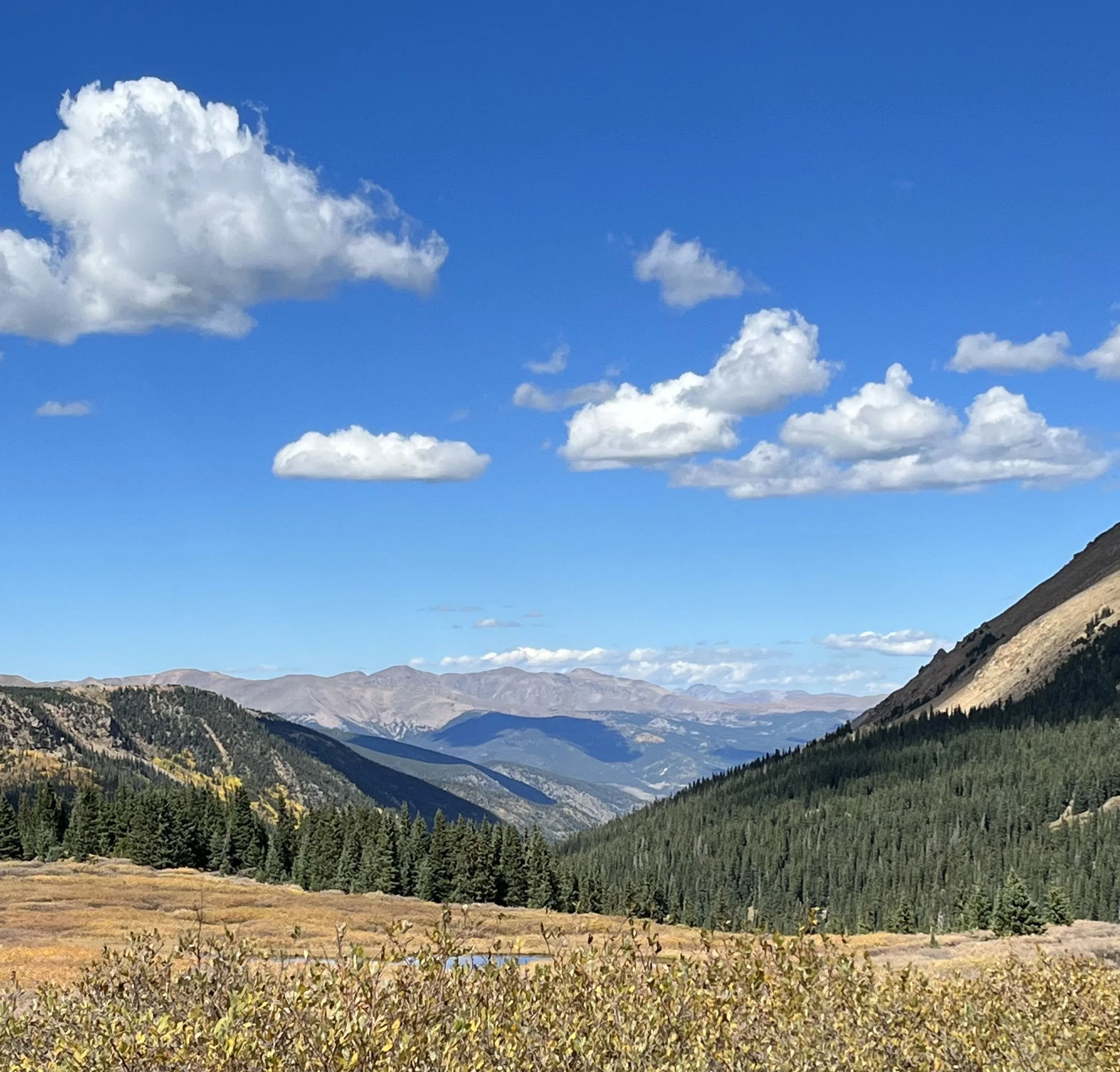 Scenic mountain landscape under a blue sky with white, fluffy clouds, featuring green forests and yellow foliage in the foreground.