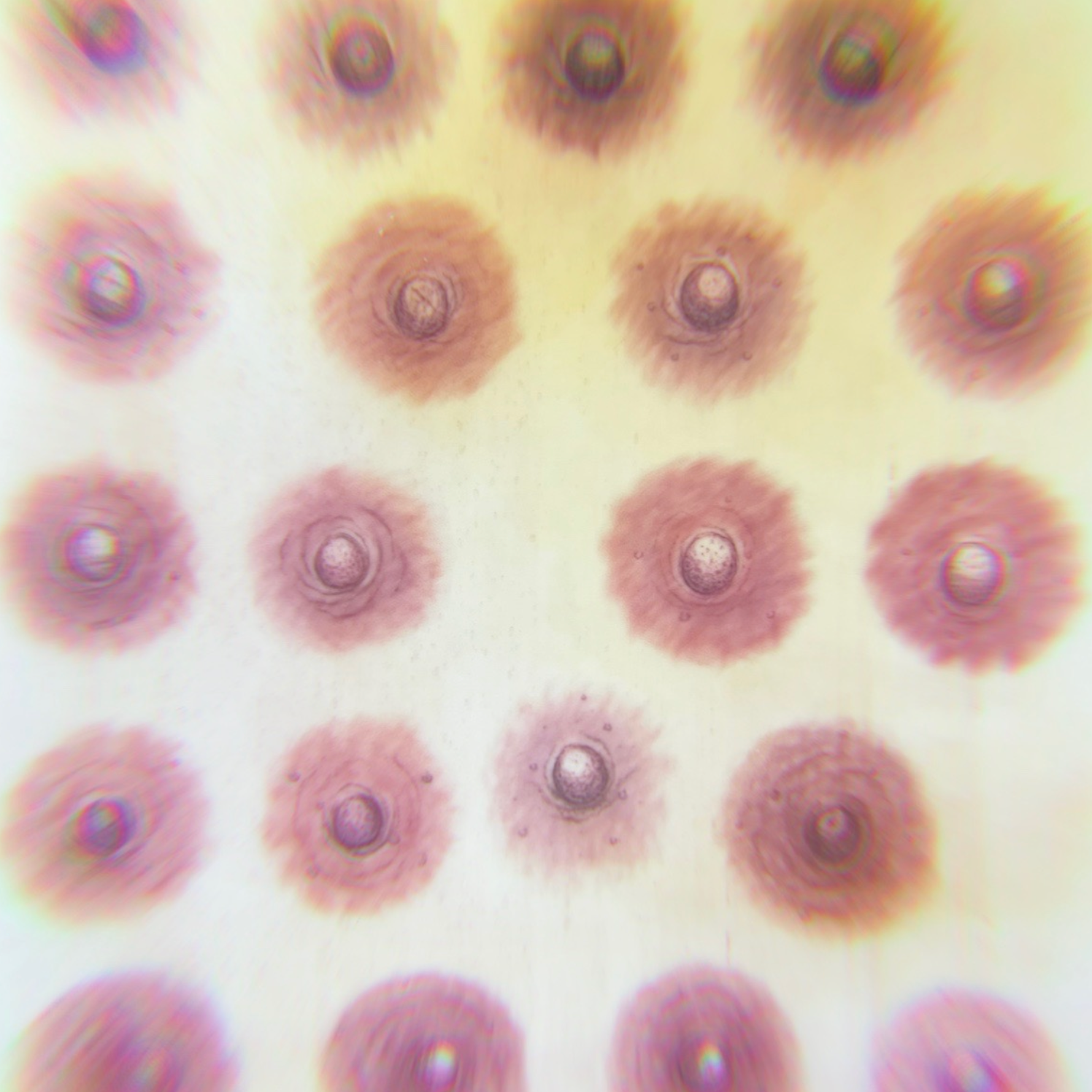 The Paramedical Areola Tattooing Journey: What to Expect from Start to Finish