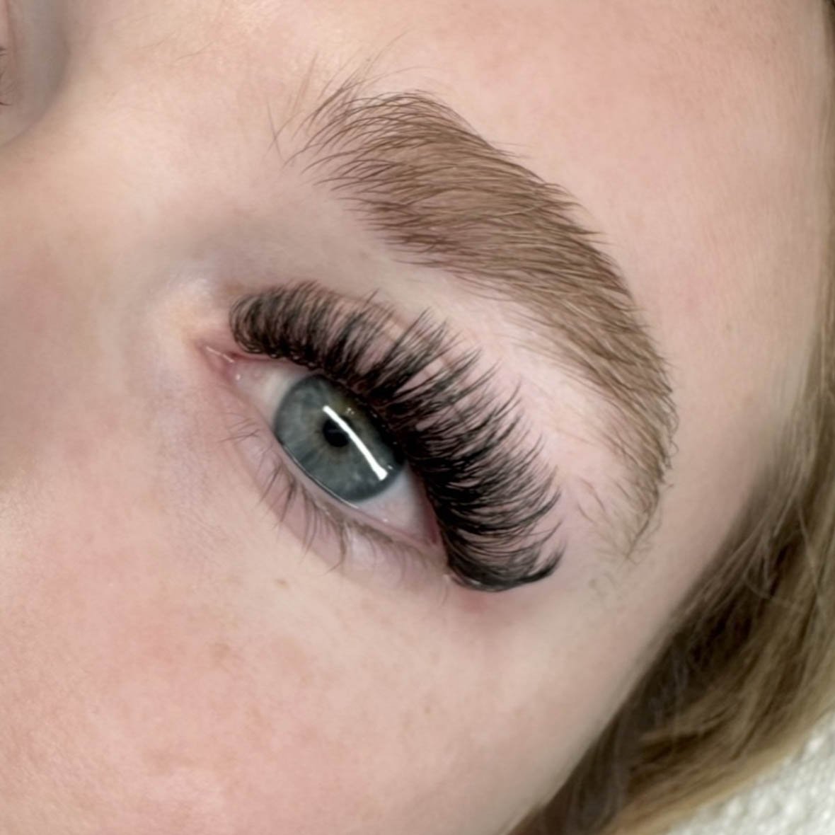 Close-up of a person's eye with long, thick eyelashes and well-groomed eyebrows.