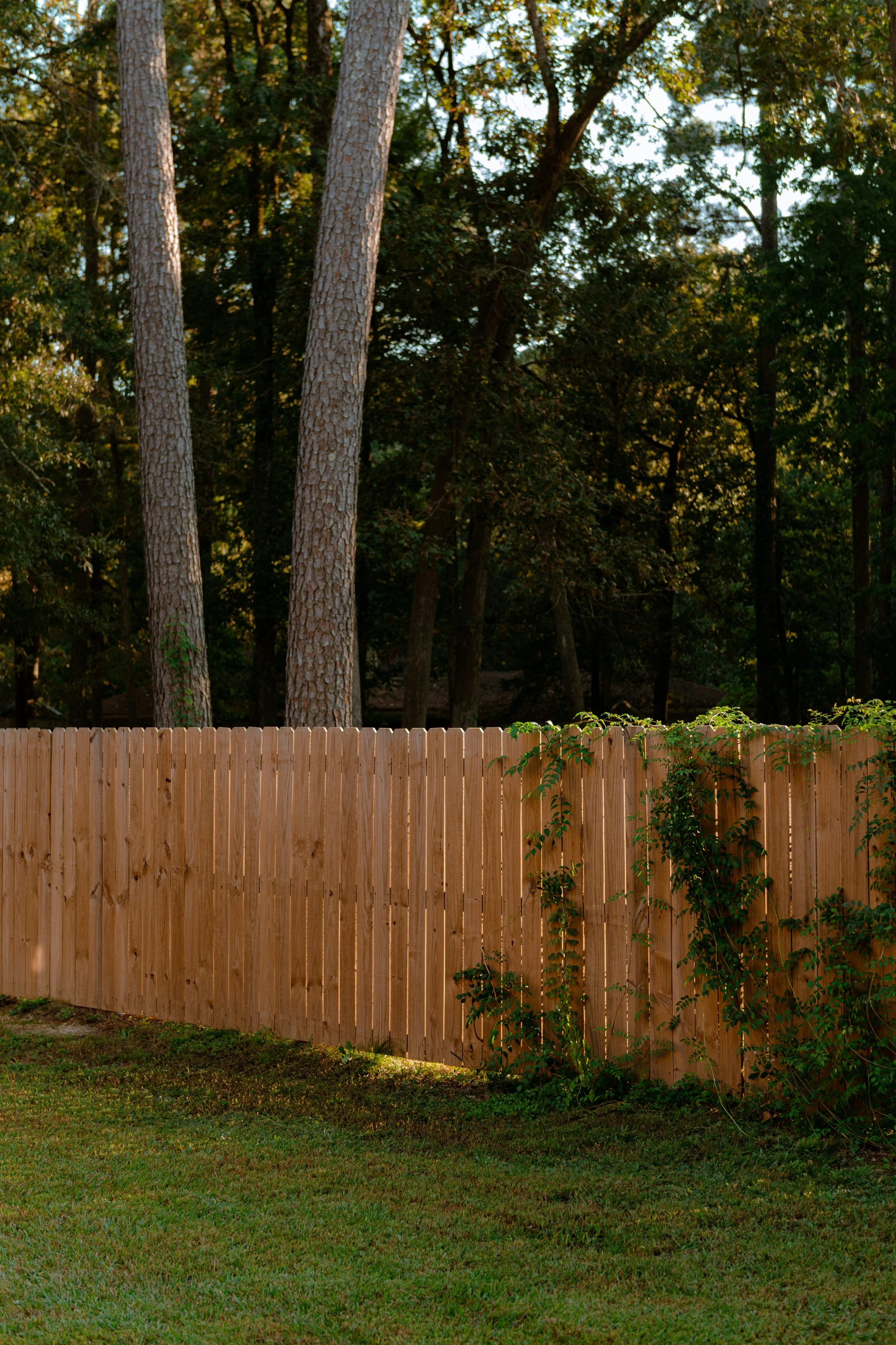 A builder has constructed this quality wooden privacy fence.