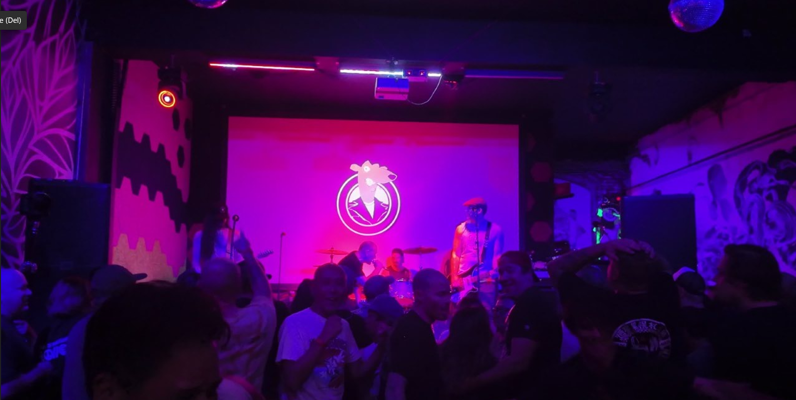 Show Review: Screeching Weasel