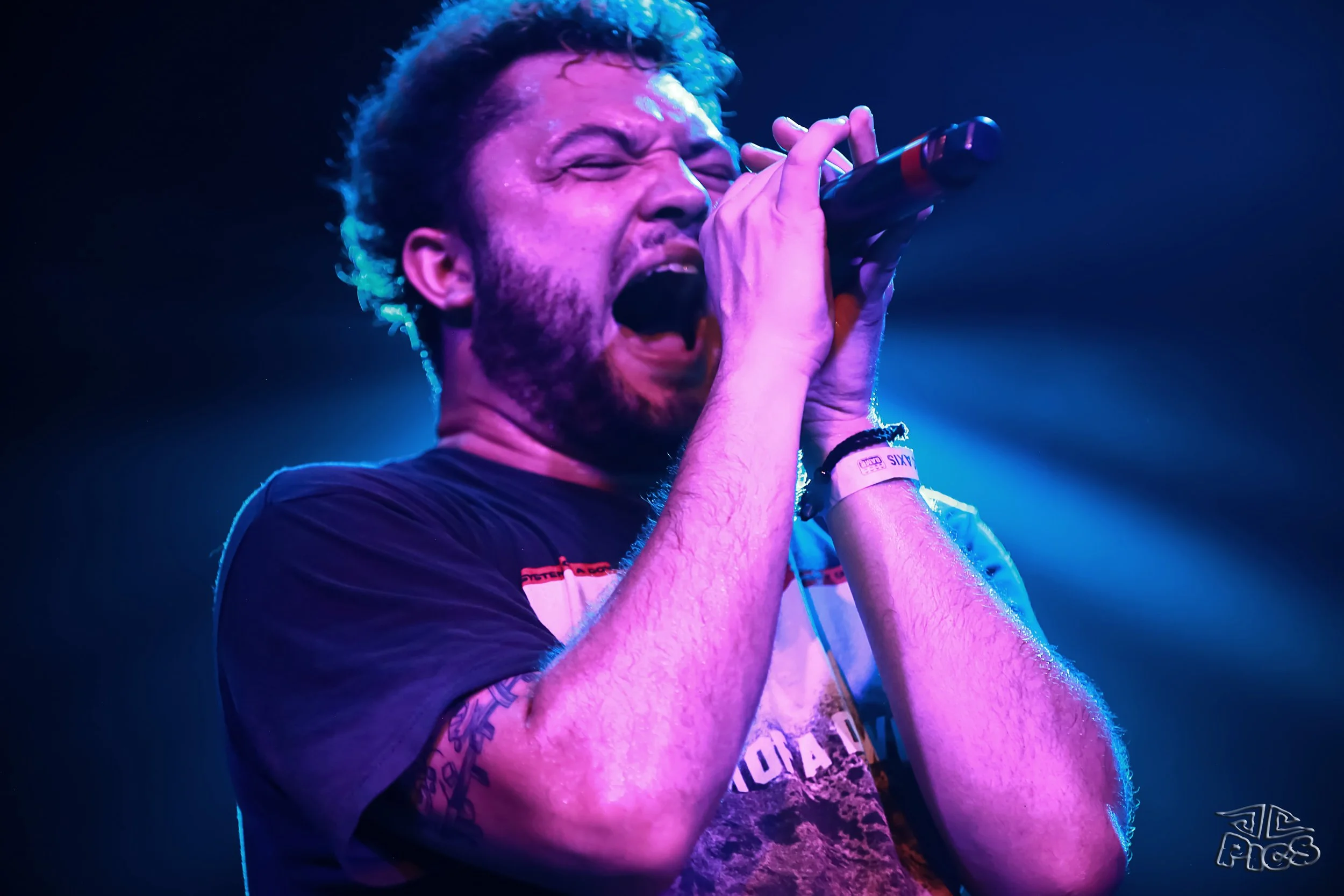 WHY ME? Inside a Last-Minute System of a Down Tribute Show