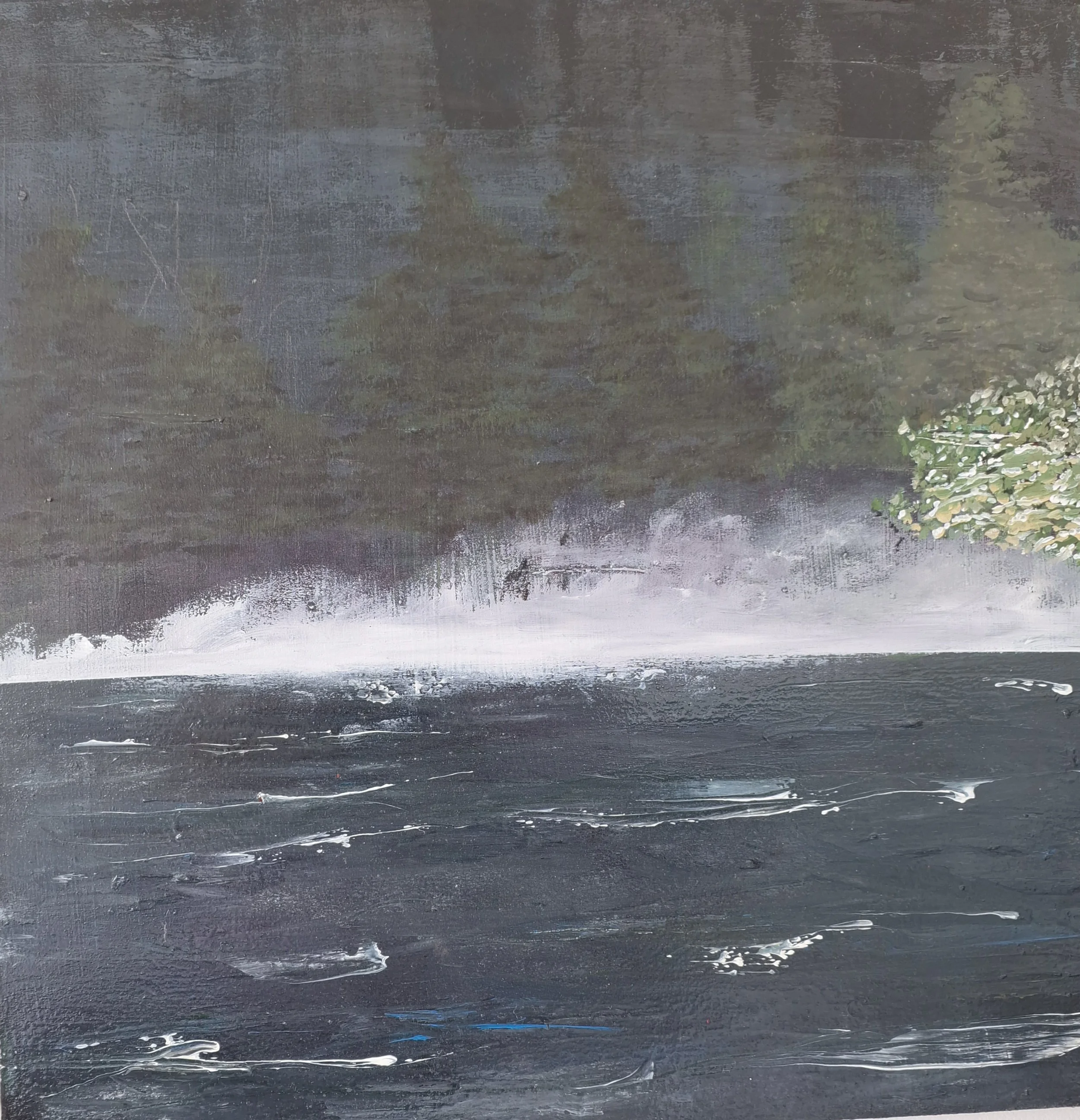 Mangakino Lake Early Morning
Acrylic on canvas board
Sold
