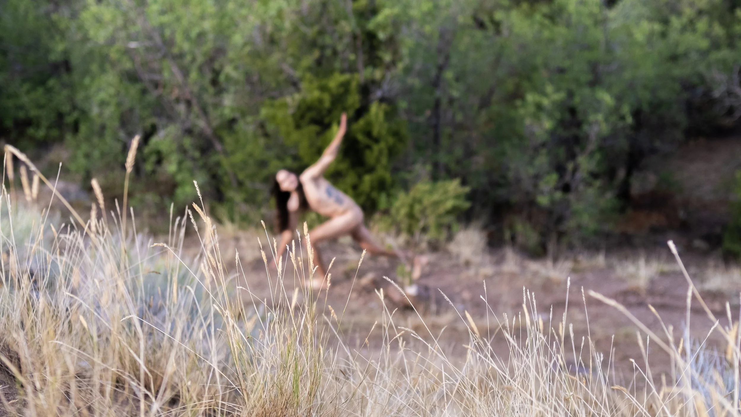 MeredithT_GN_05 copy.jpg