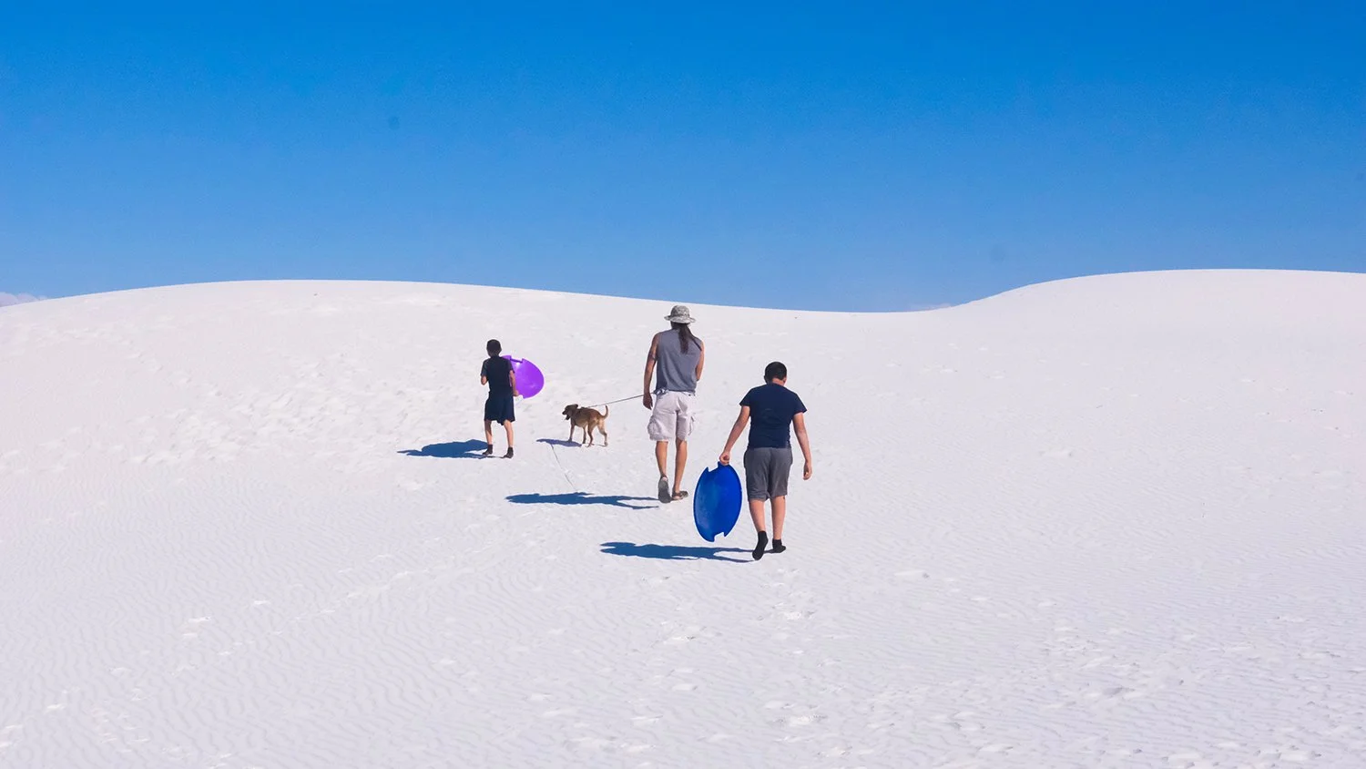 MeredithT_GN_04 copy.jpg