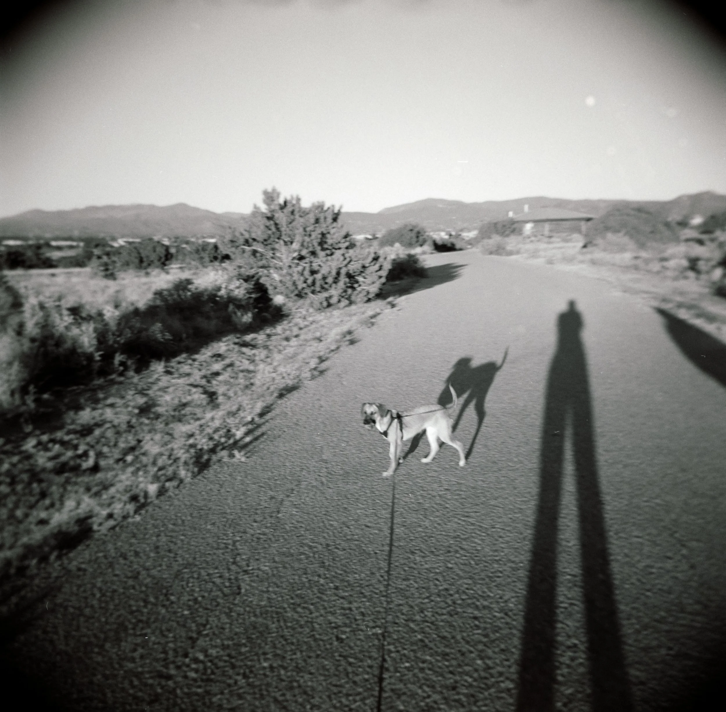 TM_FA24_mediumformat_02.jpg