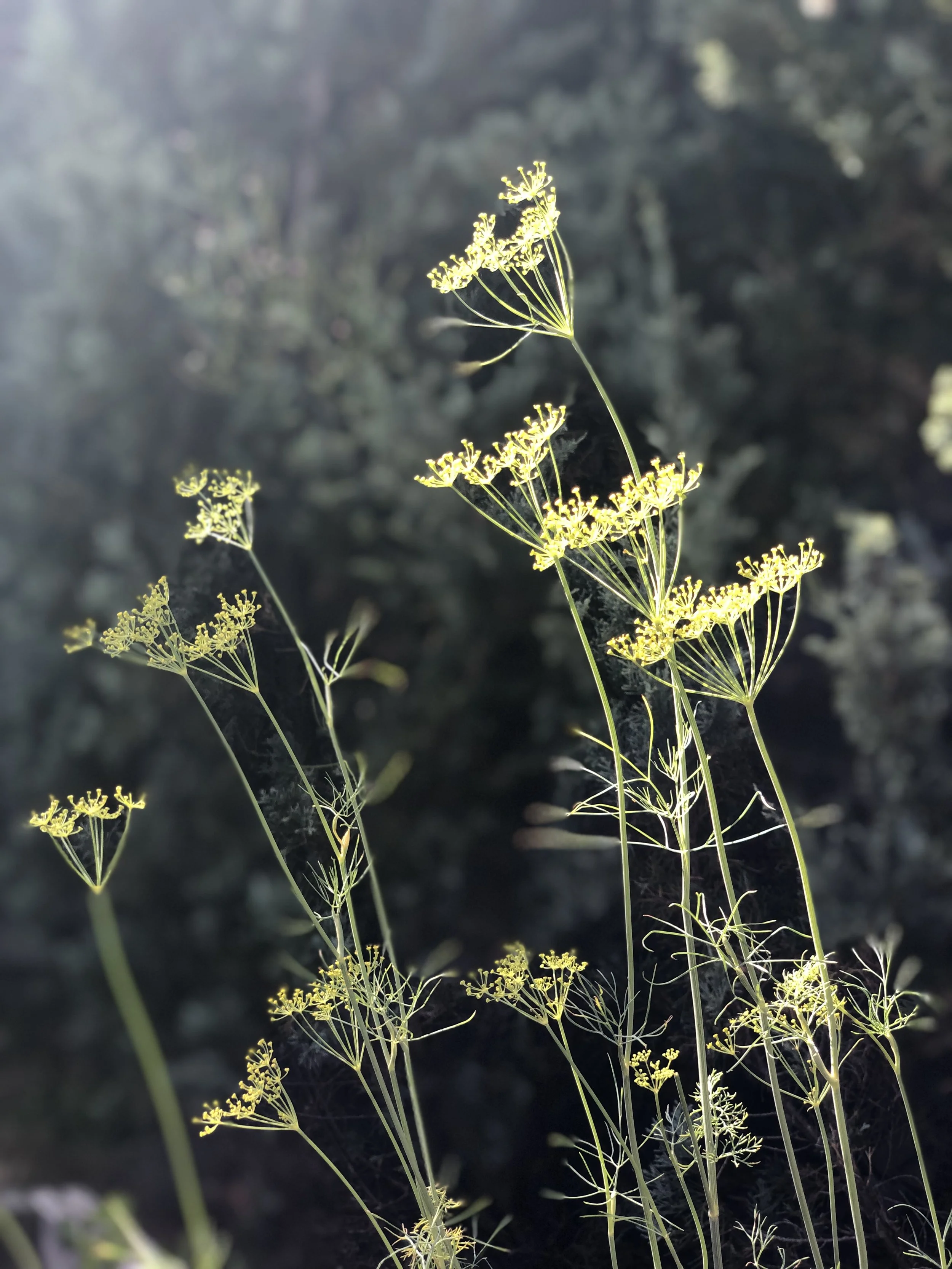 A Radical Recalibration