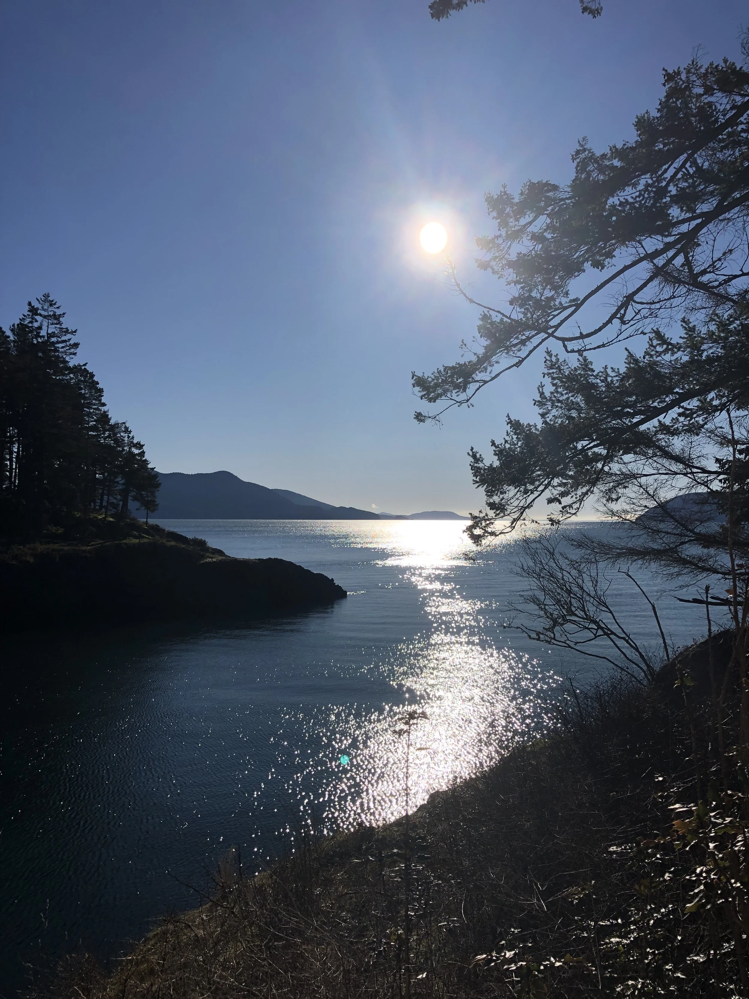 Sunny bay photo Refresh.jpg