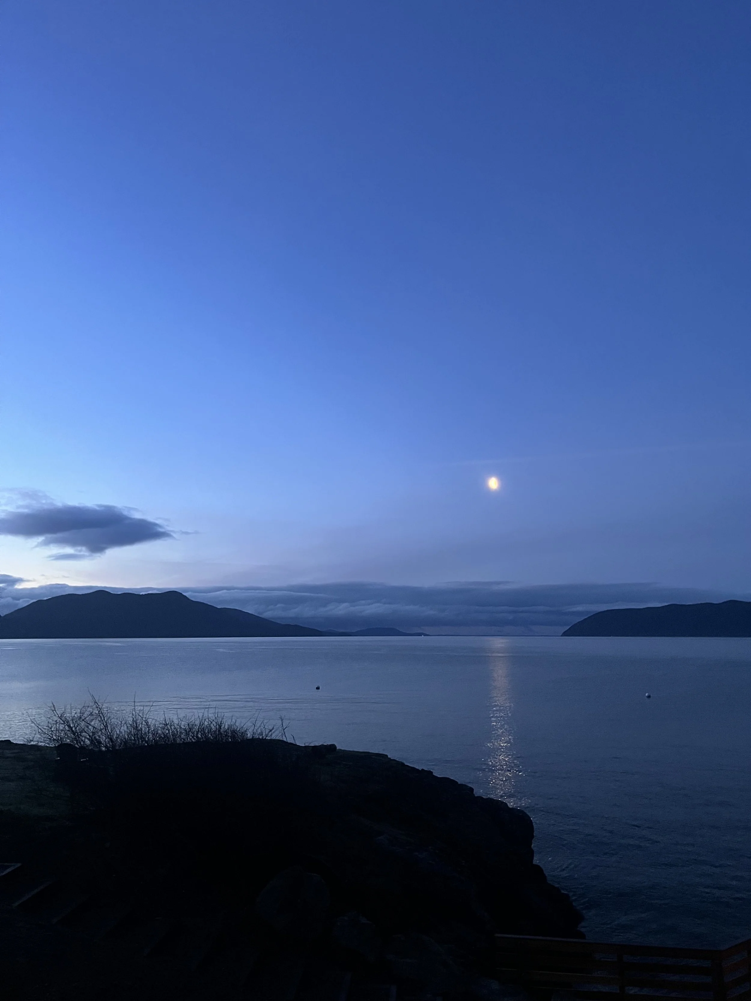 moon rising over bay.jpg