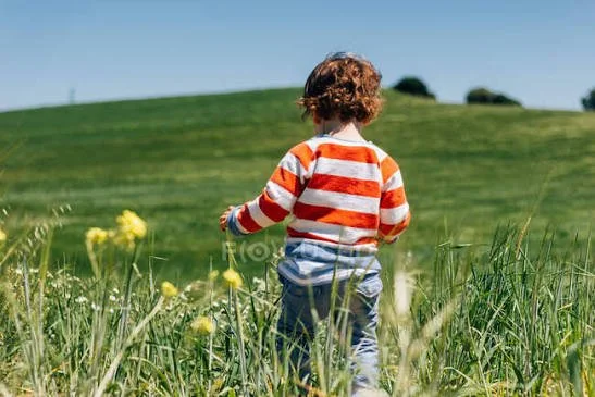 Part - Time Needed For A Busy Family In West Highlands