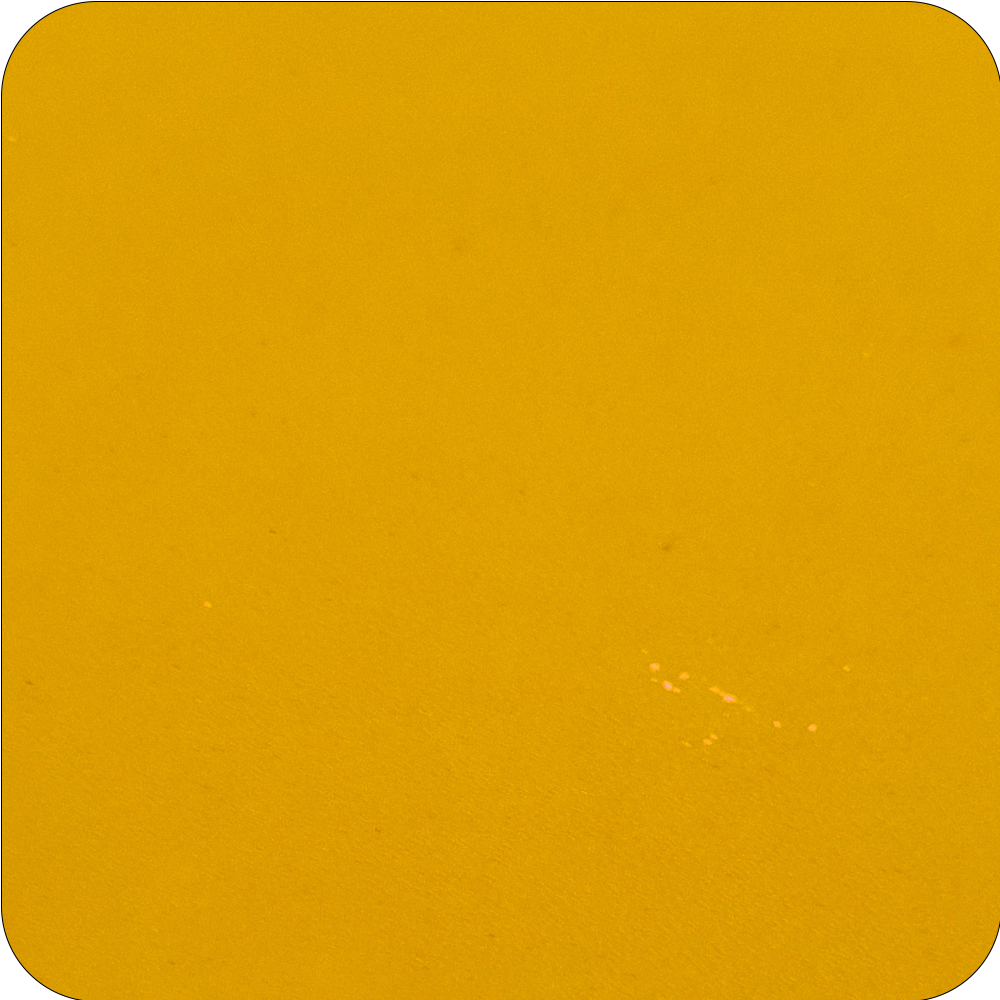 Mustard Yellow.png