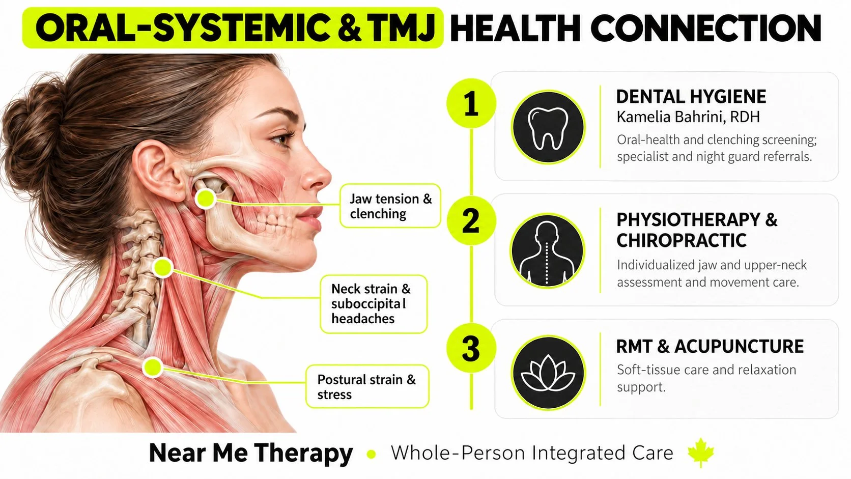 Diagram showing the connection between oral health and TMJ health with three main areas: dental hygiene, physiotherapy and chiropractic care, and RMT and acupuncture, highlighting jaw tension, neck strain, and postural stress.