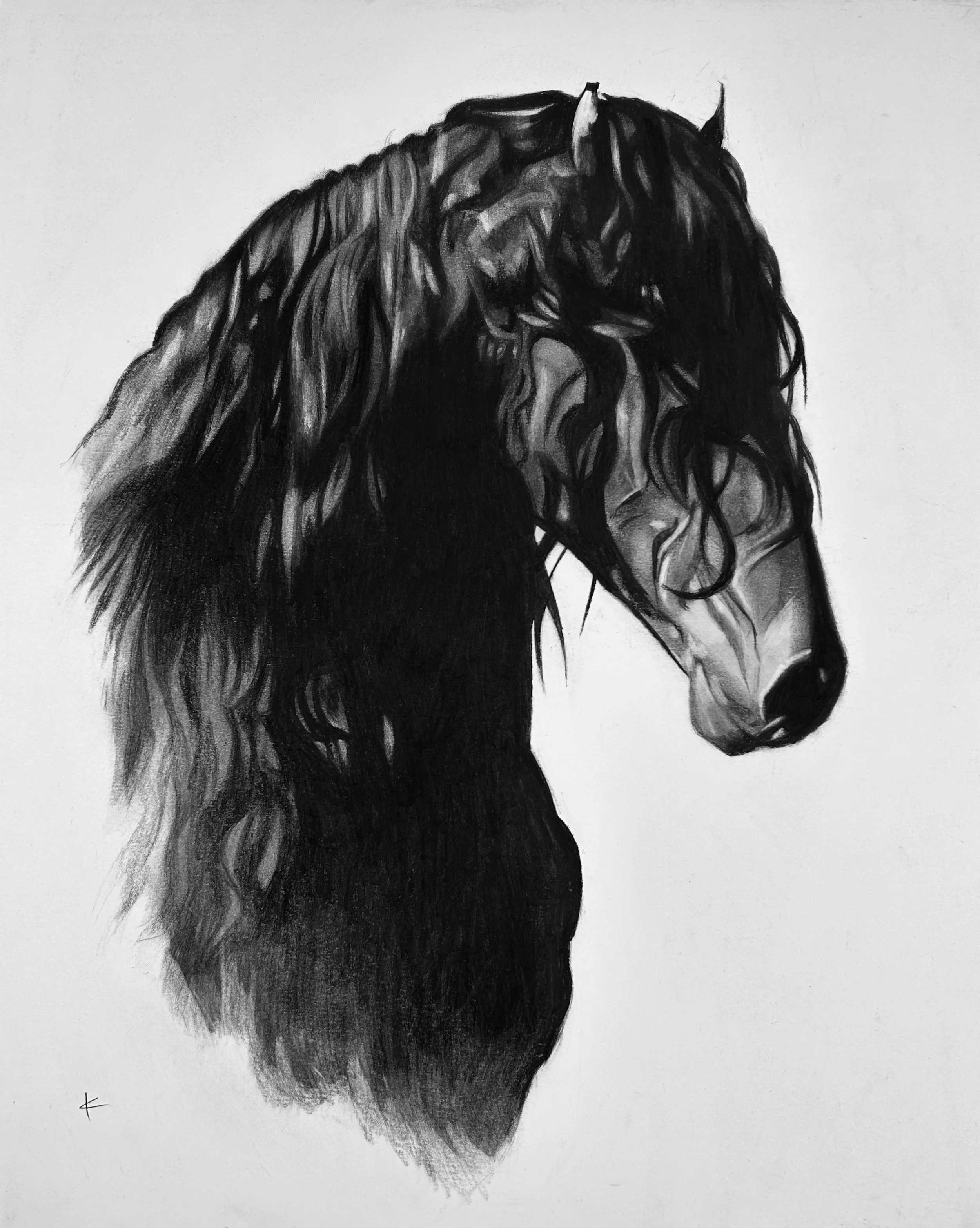 Horse No. 8