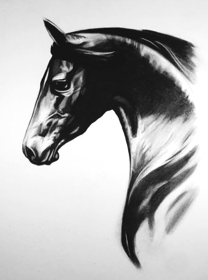 Horse No. 3