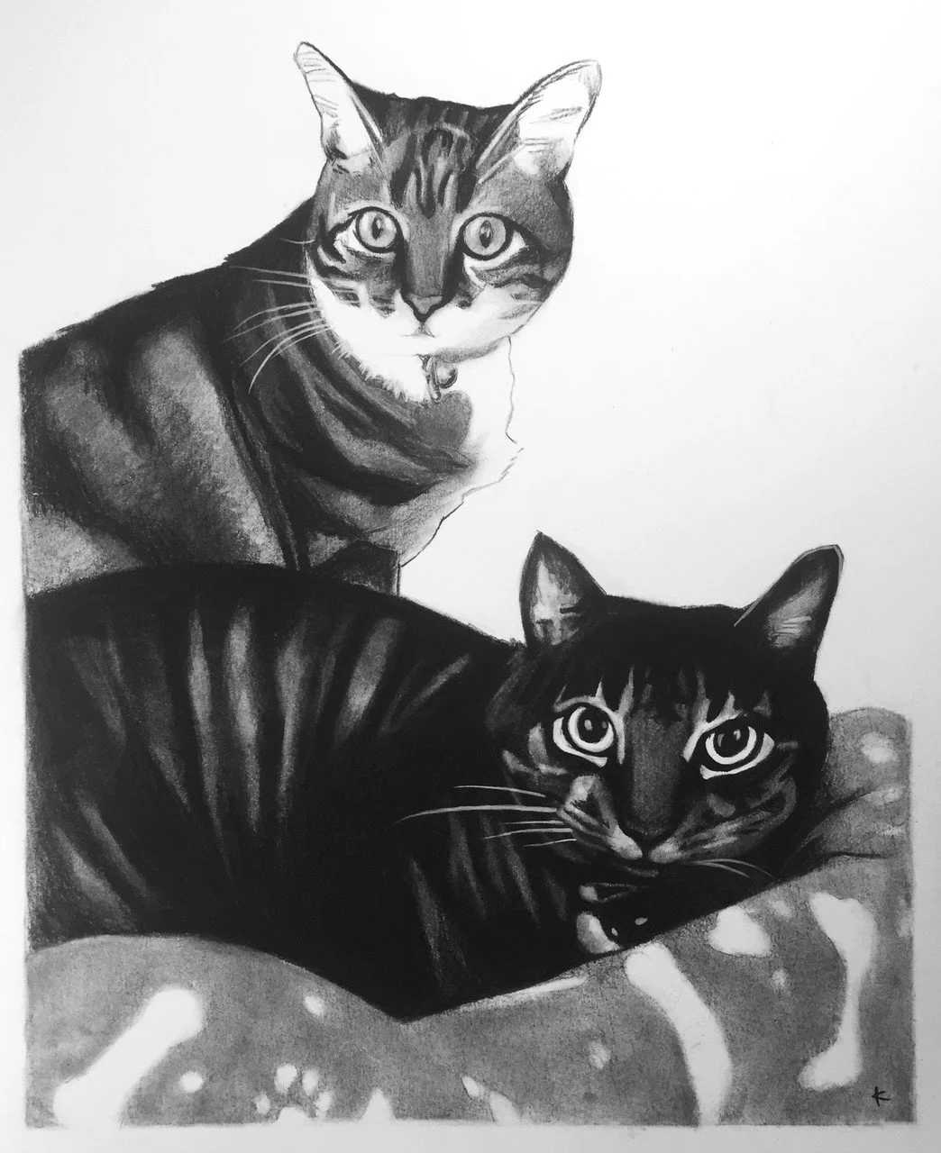 Black and white pencil drawing of two cats, one sitting and one lying down, both with piercing eyes and striped fur patterns.