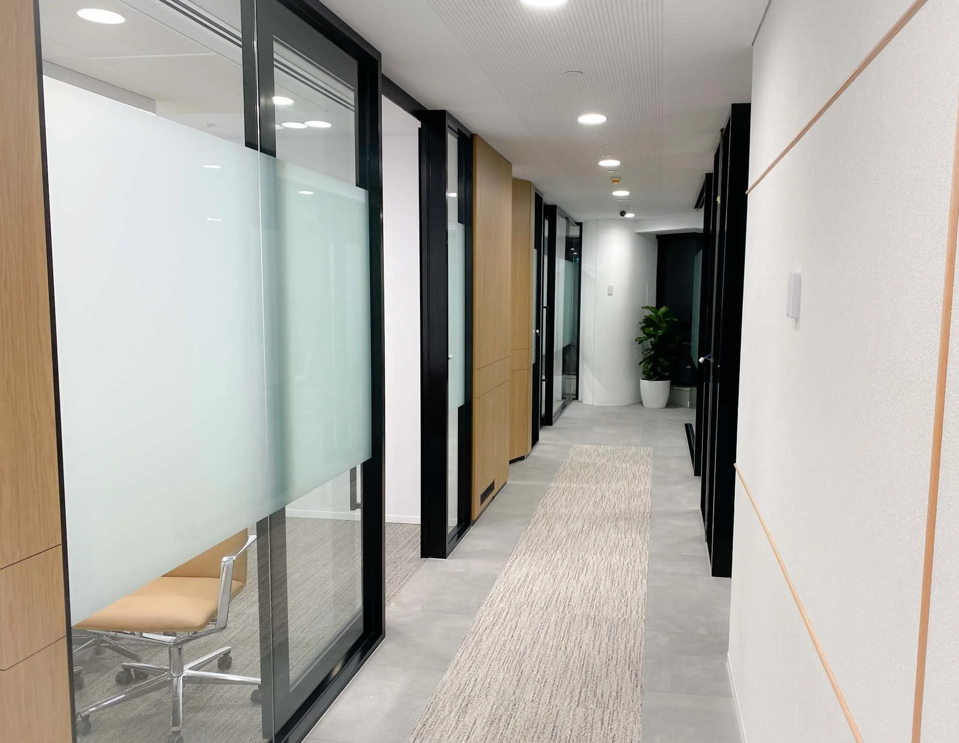 Modern office hallway with glass-walled offices, a beige rug, a potted plant, and ceiling lights.