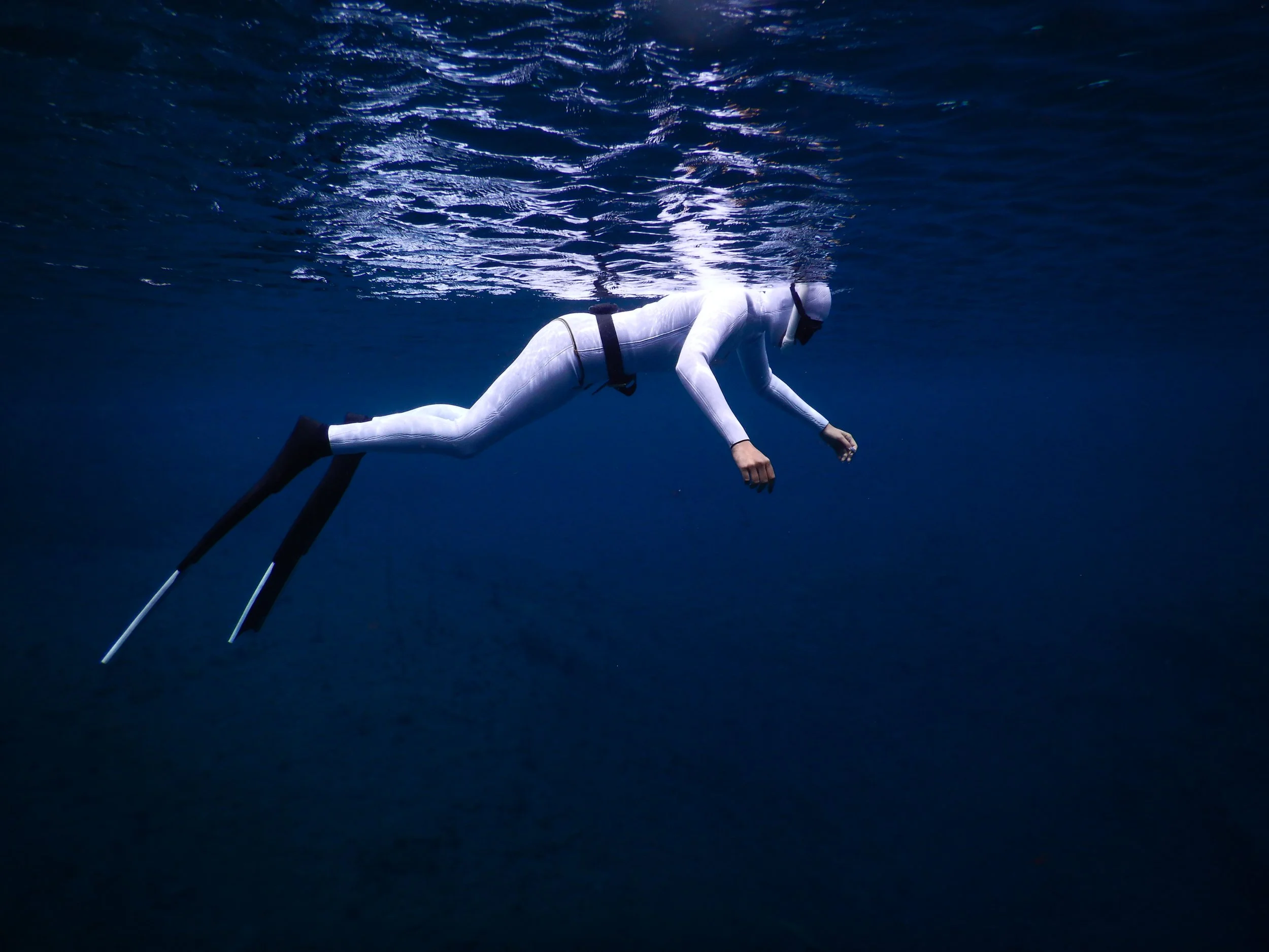 FREEDIVING - AN INTRODUCTION