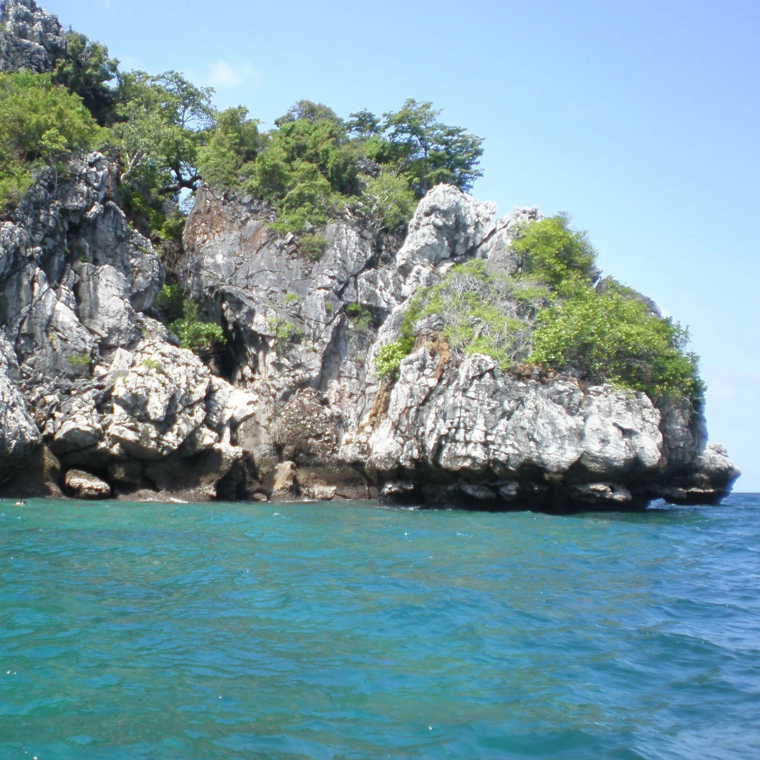 LOCAL DIVING