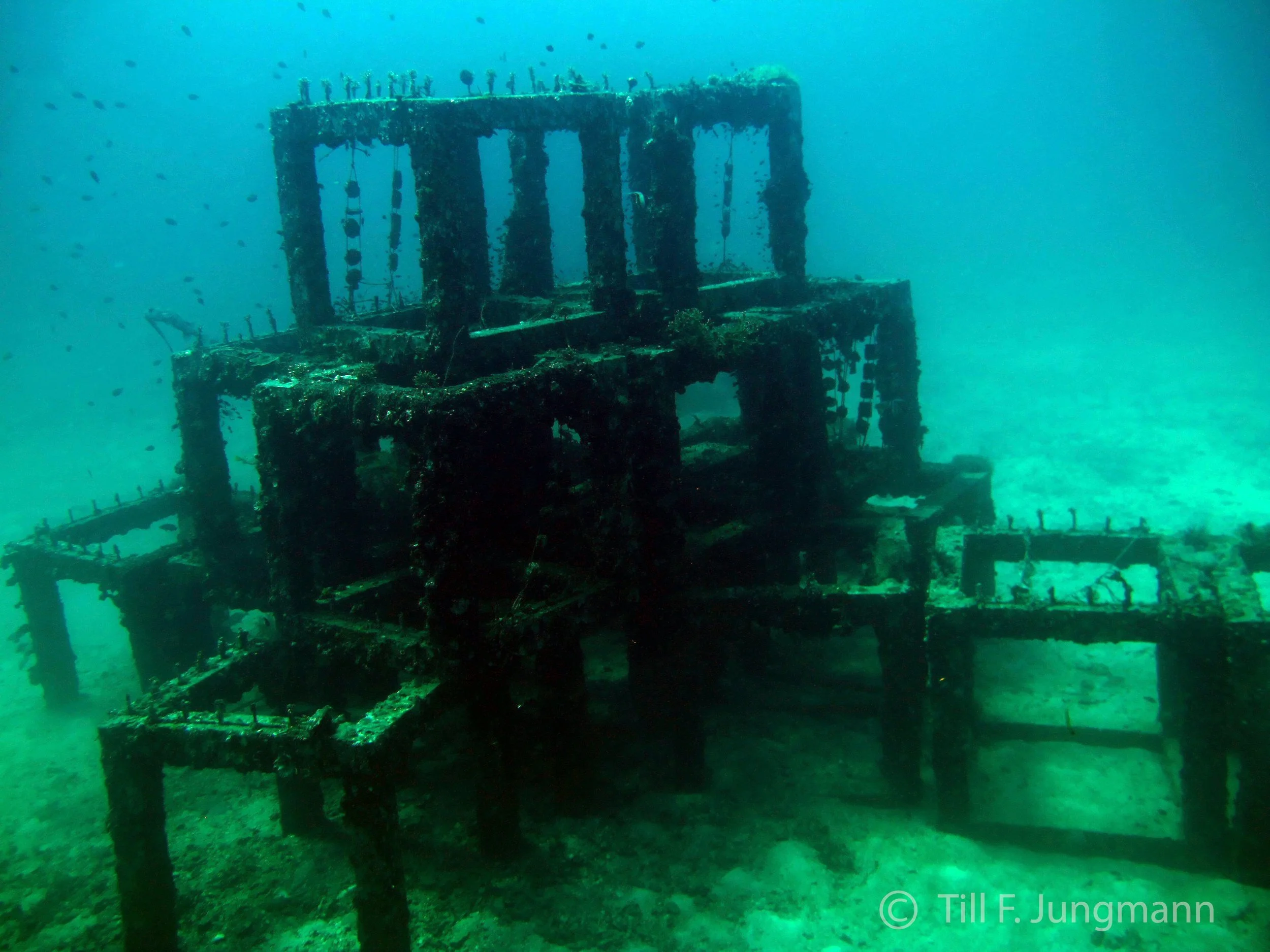 ARTIFICIAL REEF