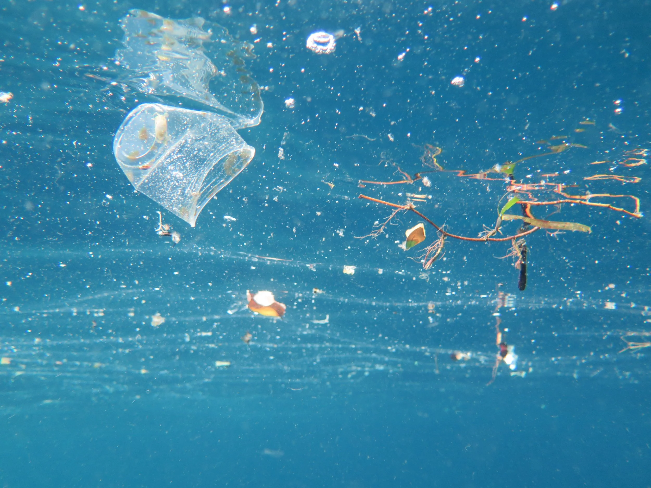 PLASTIC