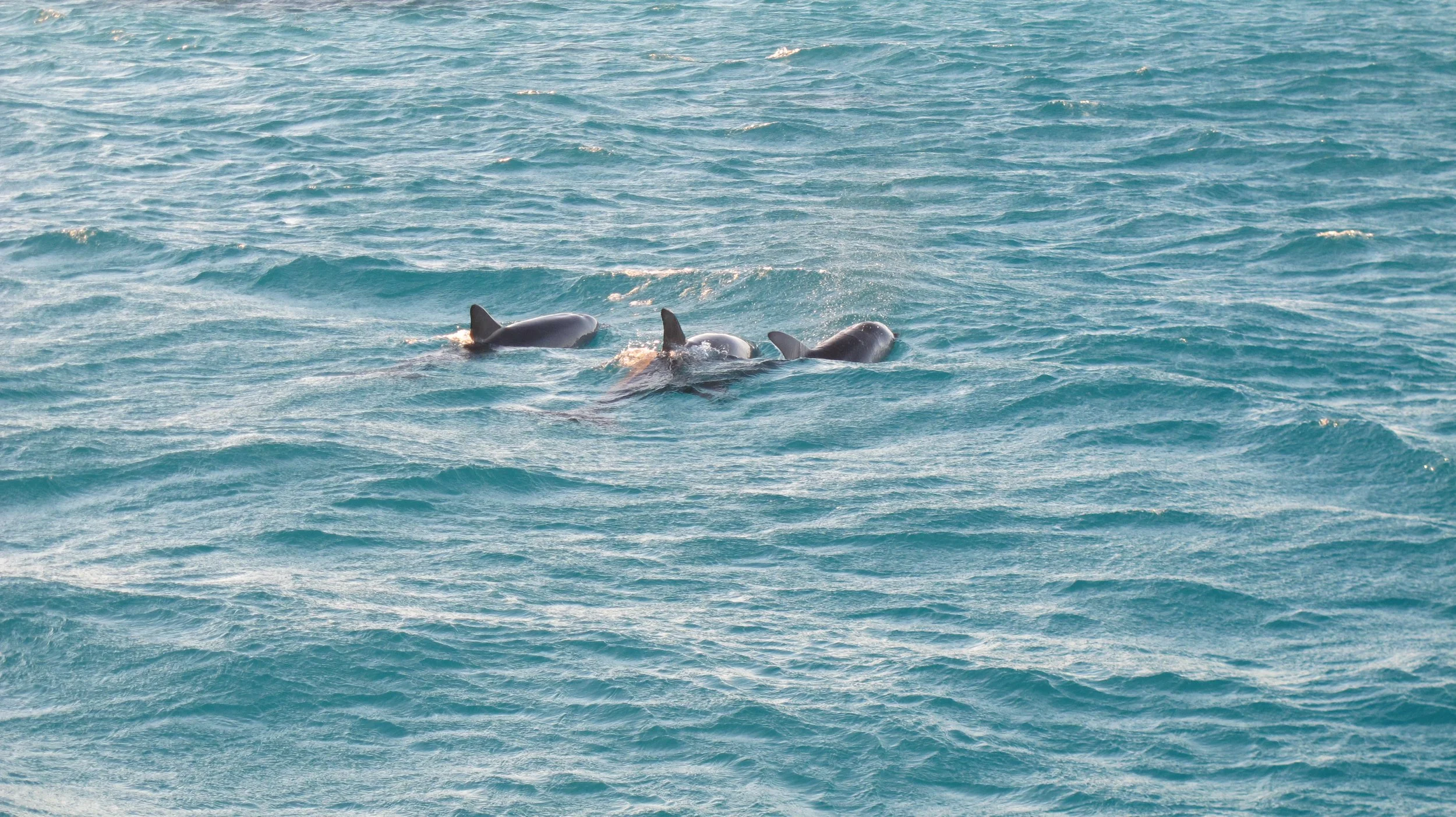 ABROLHOS ISLANDS