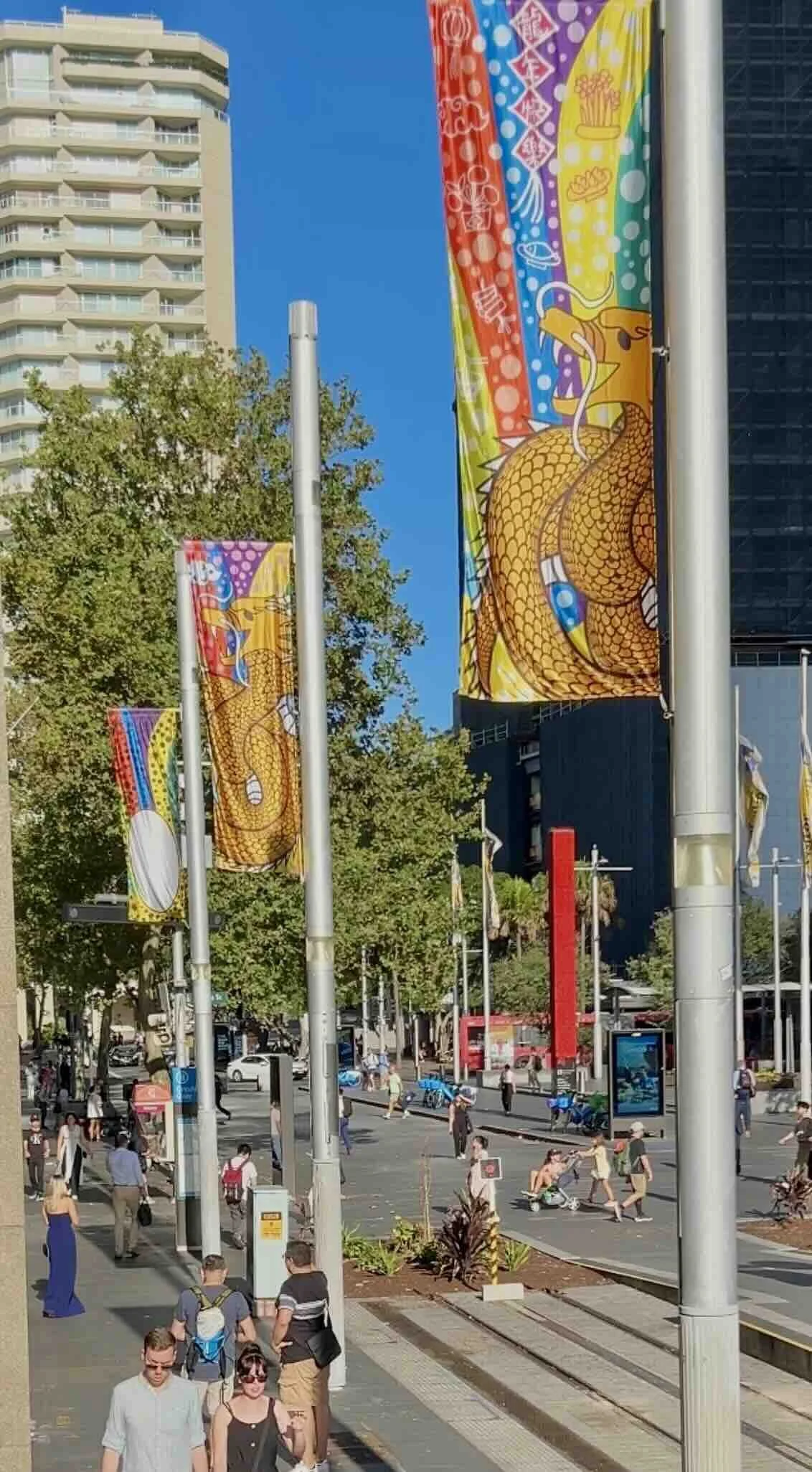 Dragon Banner display03A.jpeg