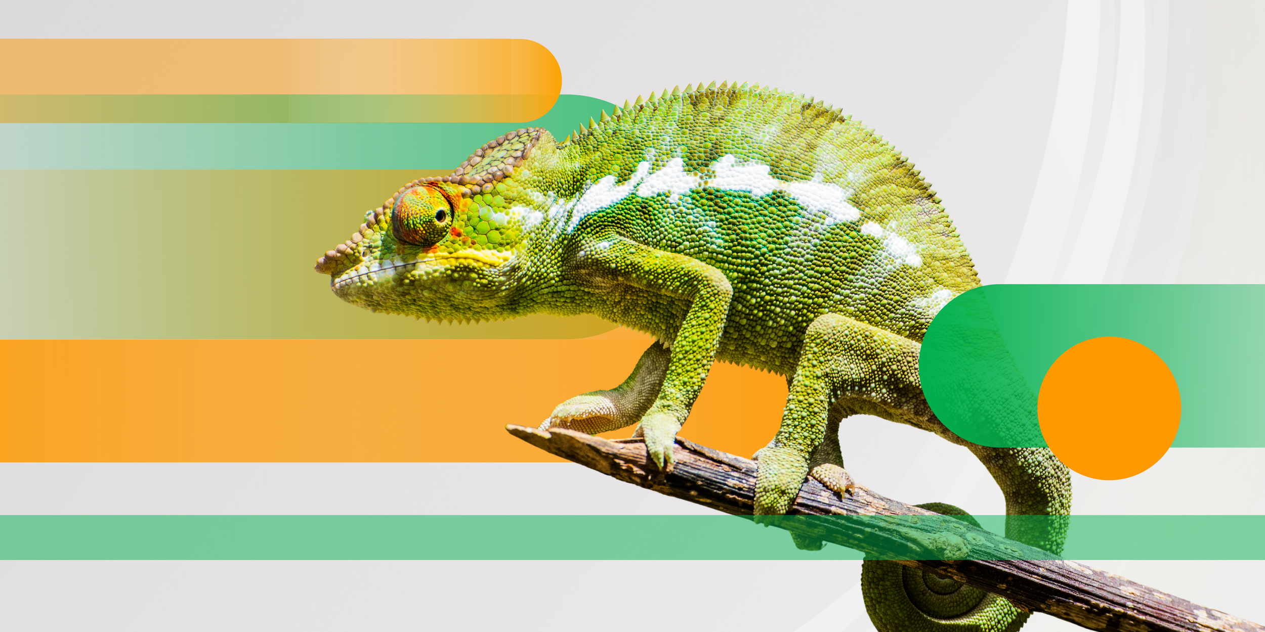 Coloured Skin: Work-in-process Showcase