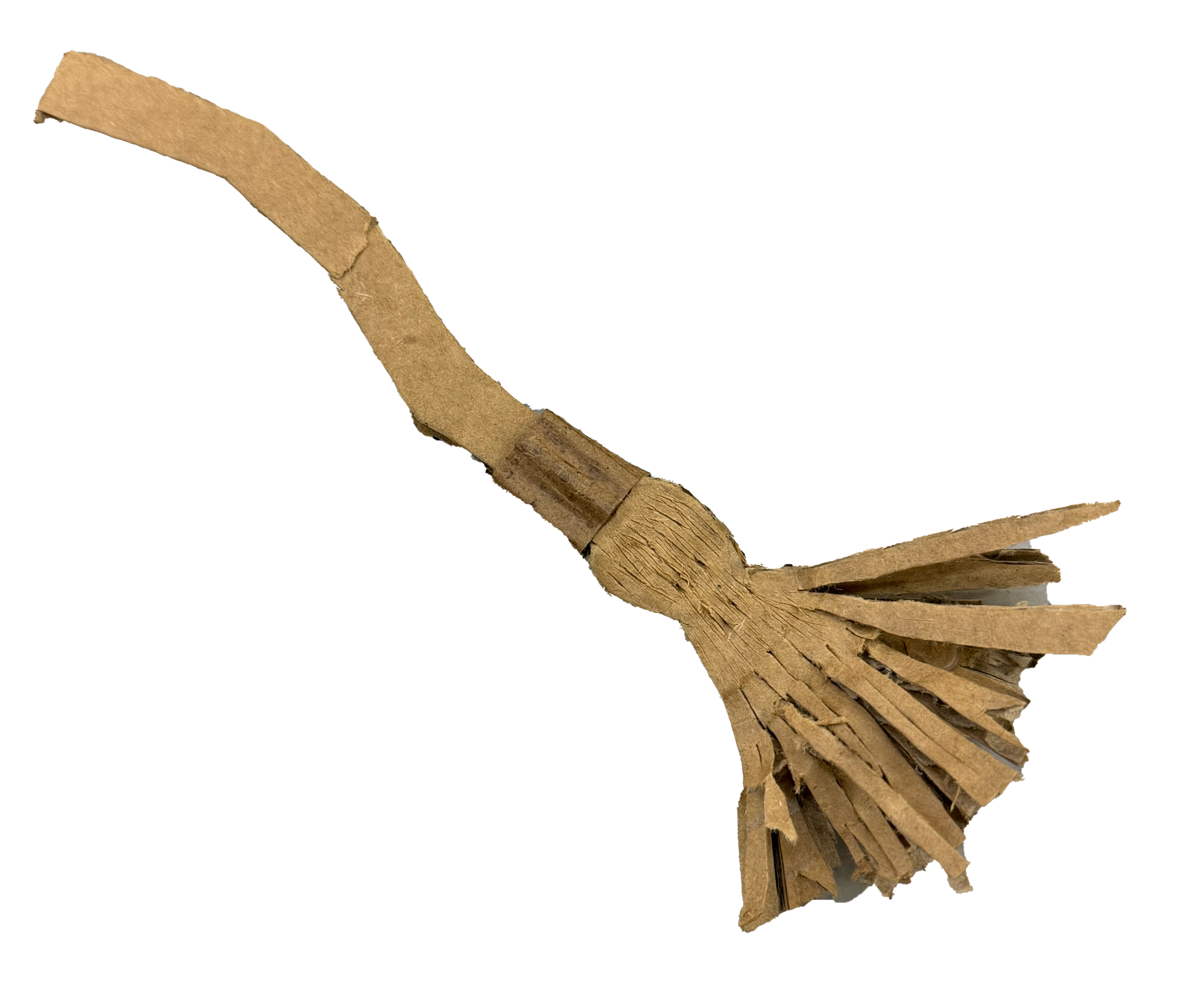 Dom CC 2D Design 2025.png