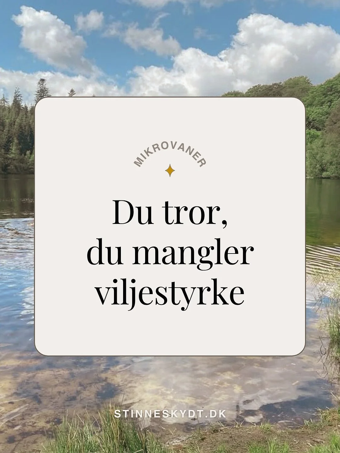 NEJ! Du mangler ikke viljestyrke &ndash; du mangler bare gode vaner.

😁 Nu er jeg lidt k&aelig;k - men skide v&aelig;re med viljestyrken. Den vil nemlig komme og g&aring;, som det passer den.

Dine vaner derimod &ndash; dem har du selv indflydelse p