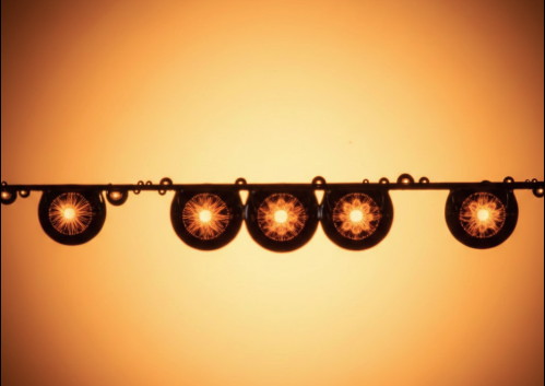 Biotropy: Why Life Isn’t a Miracle, Just Good Physics