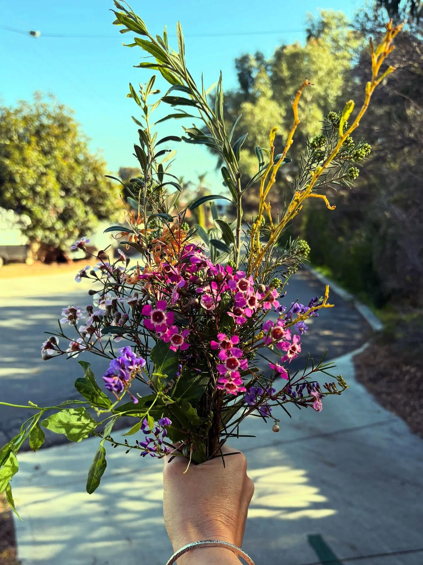 Spring has SPRUNG // I&rsquo;m loving this beautiful sunshine thawing out my winter bones. The lushness on the skin. Make me feel alive. Enjoy this glorious spring sunshine and nature bliss today 🌱🌻🌼🌸🌺🪻💐🌹

#spring #bliss #soulhealing #naturop