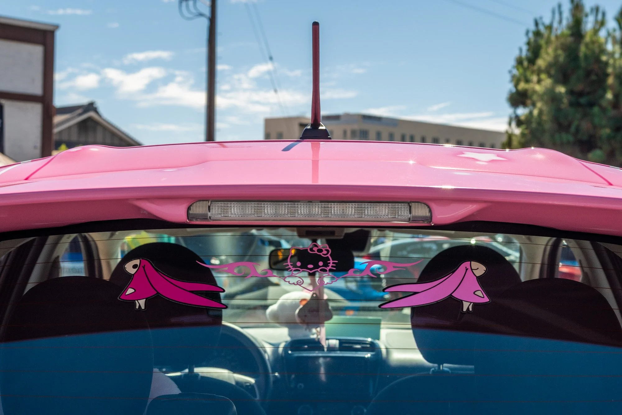 DSC_2666.jpg
