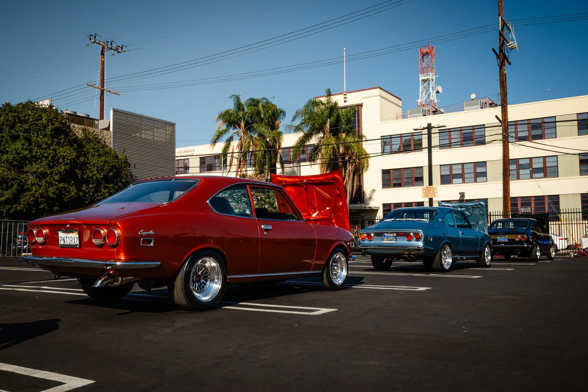 DSC_1824.jpg