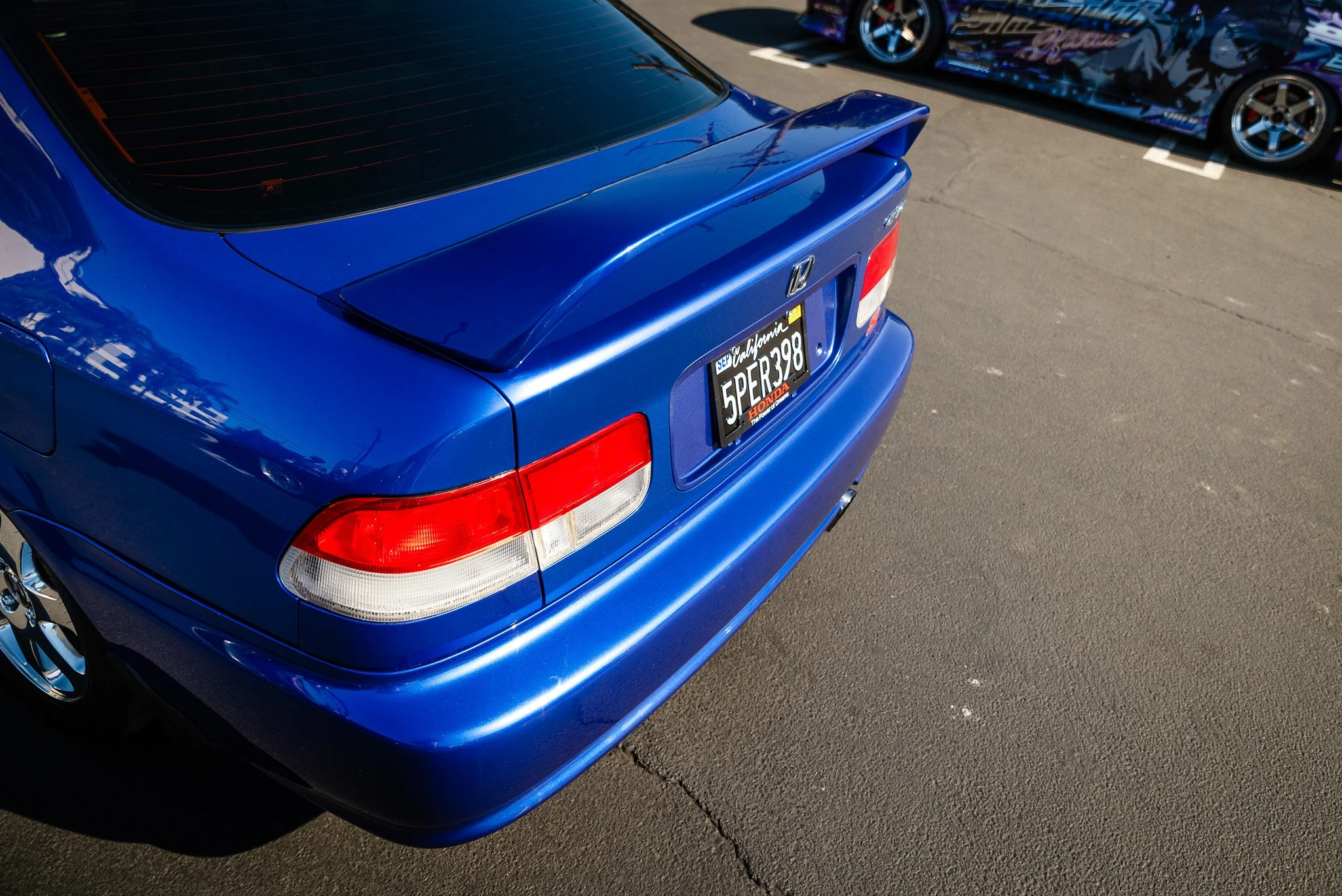 DSC_1910.jpg