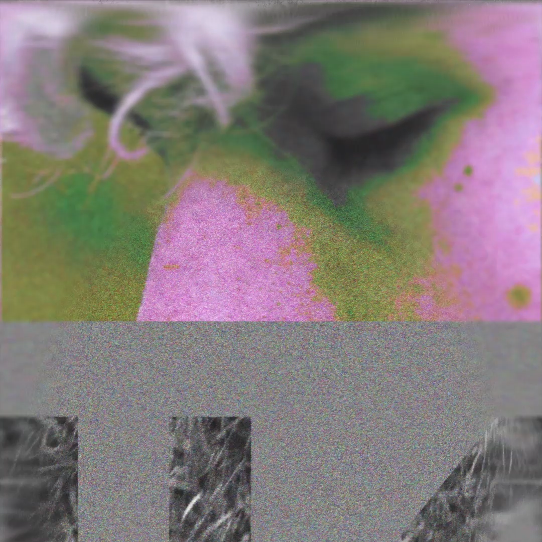 Music Motion Graphics