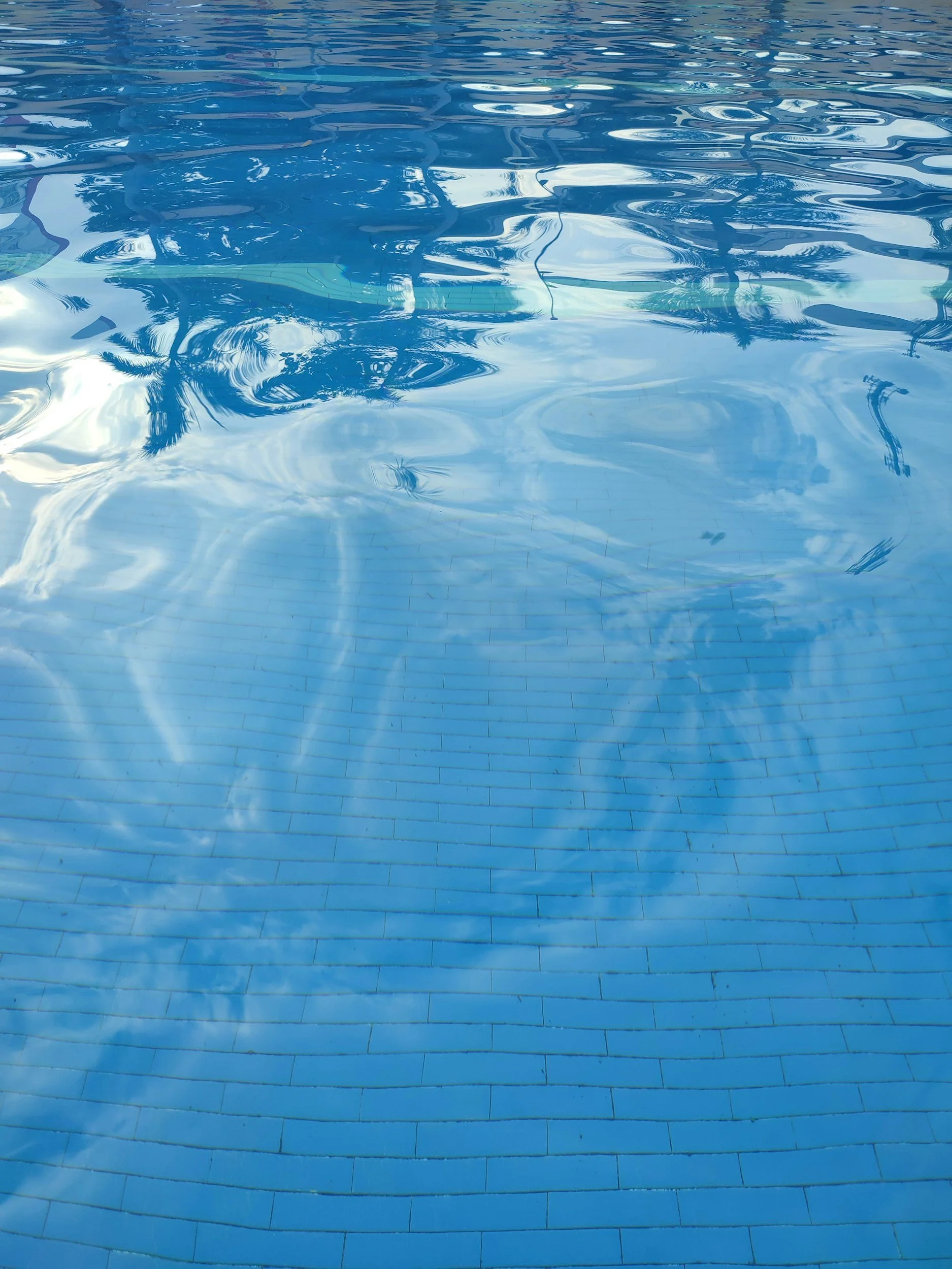 Saltwater vs. Chlorine Pools: What’s the Difference?