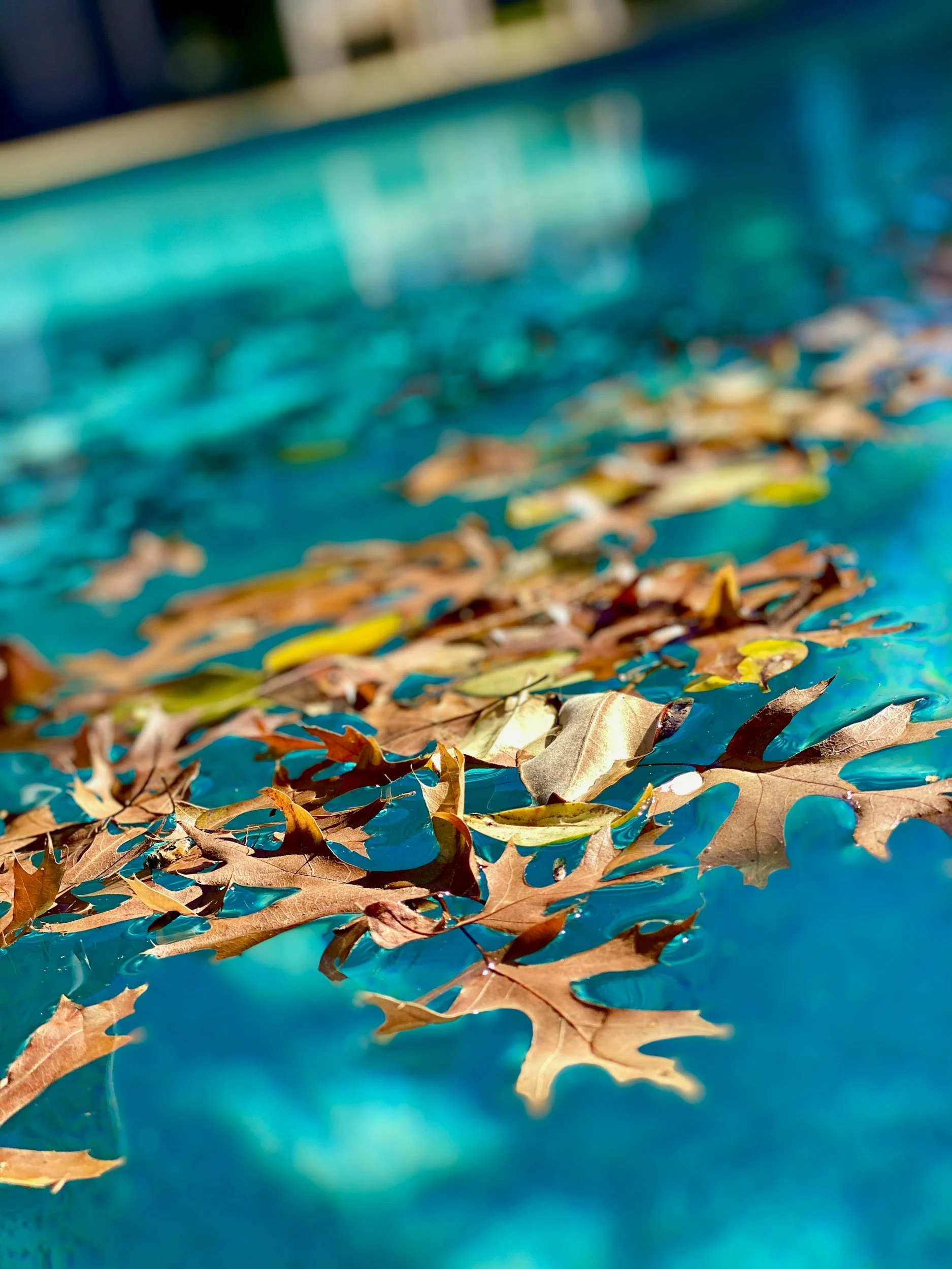 Why Is My Pool Still Dirty After Pool Service?