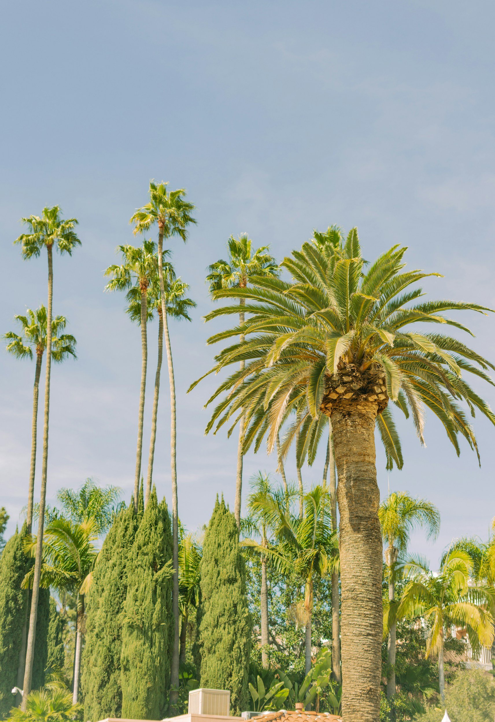 How Does Southern California Heat Affect Pool Chlorine?
